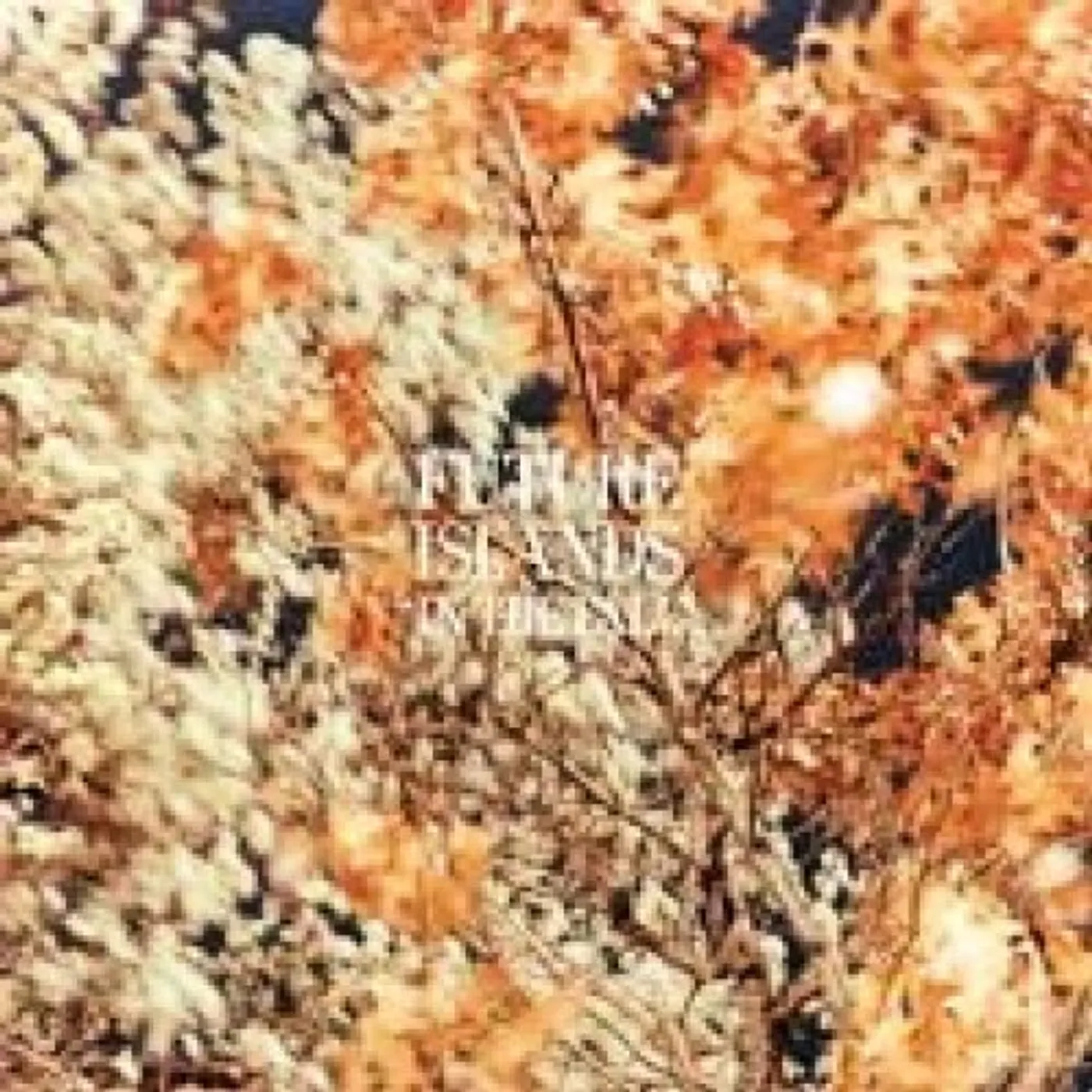 Future Islands In the Fall Vinyl Record
