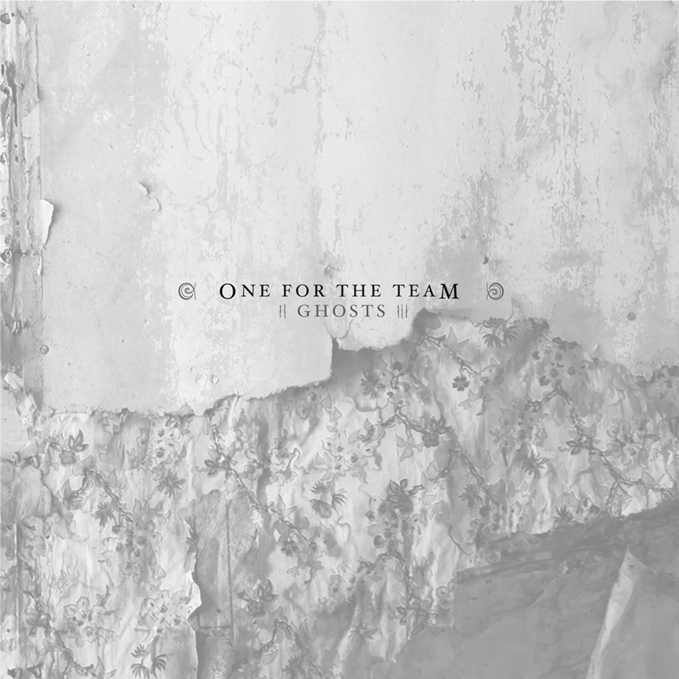 One for the Team Ghosts Vinyl Record