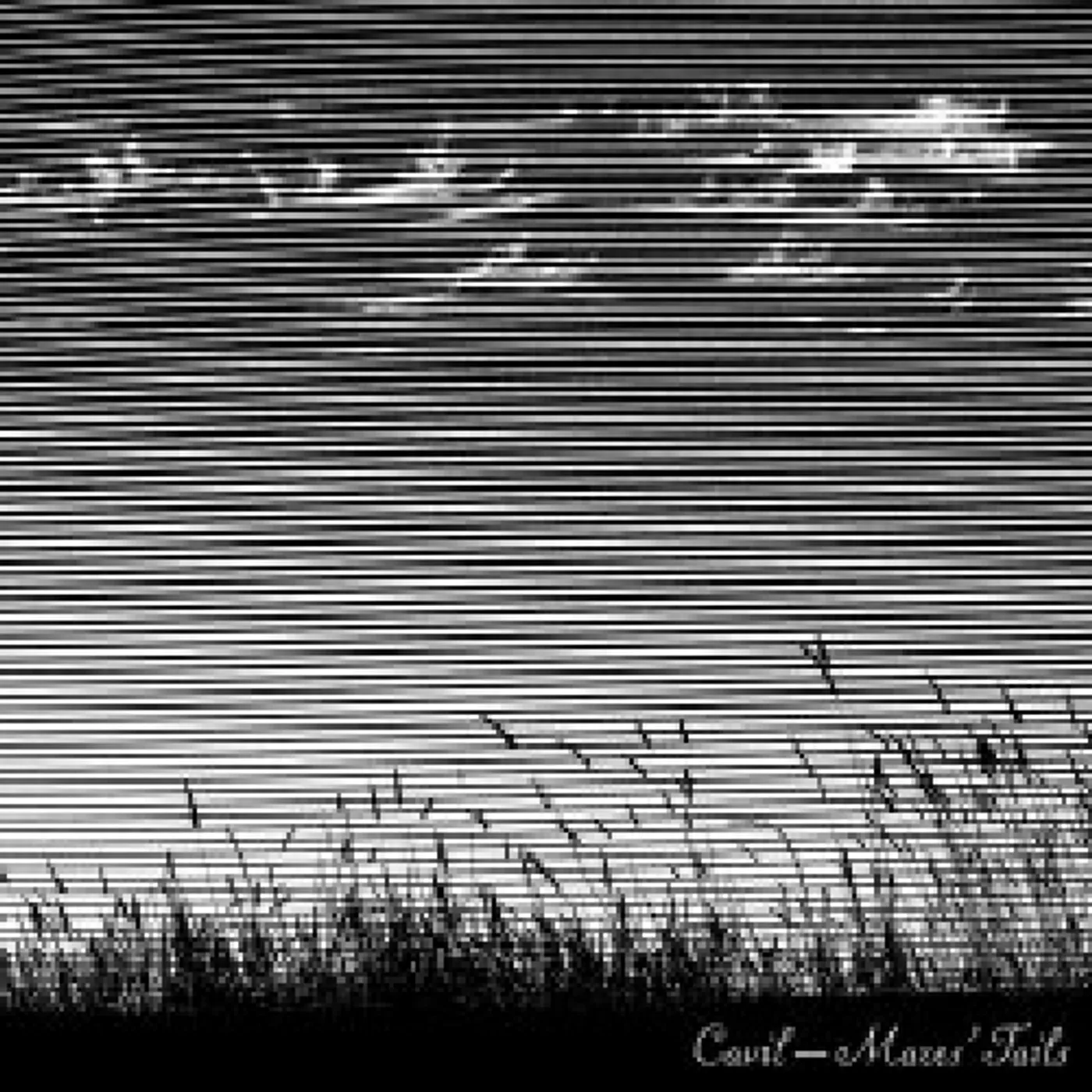 Cavil MARES TAILS CD