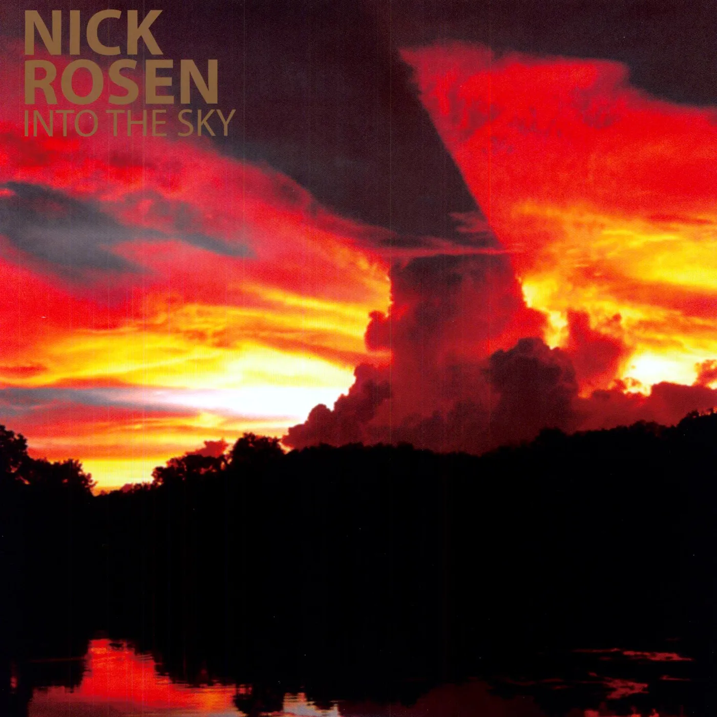 Nick Rosen Into the Sky Vinyl Record
