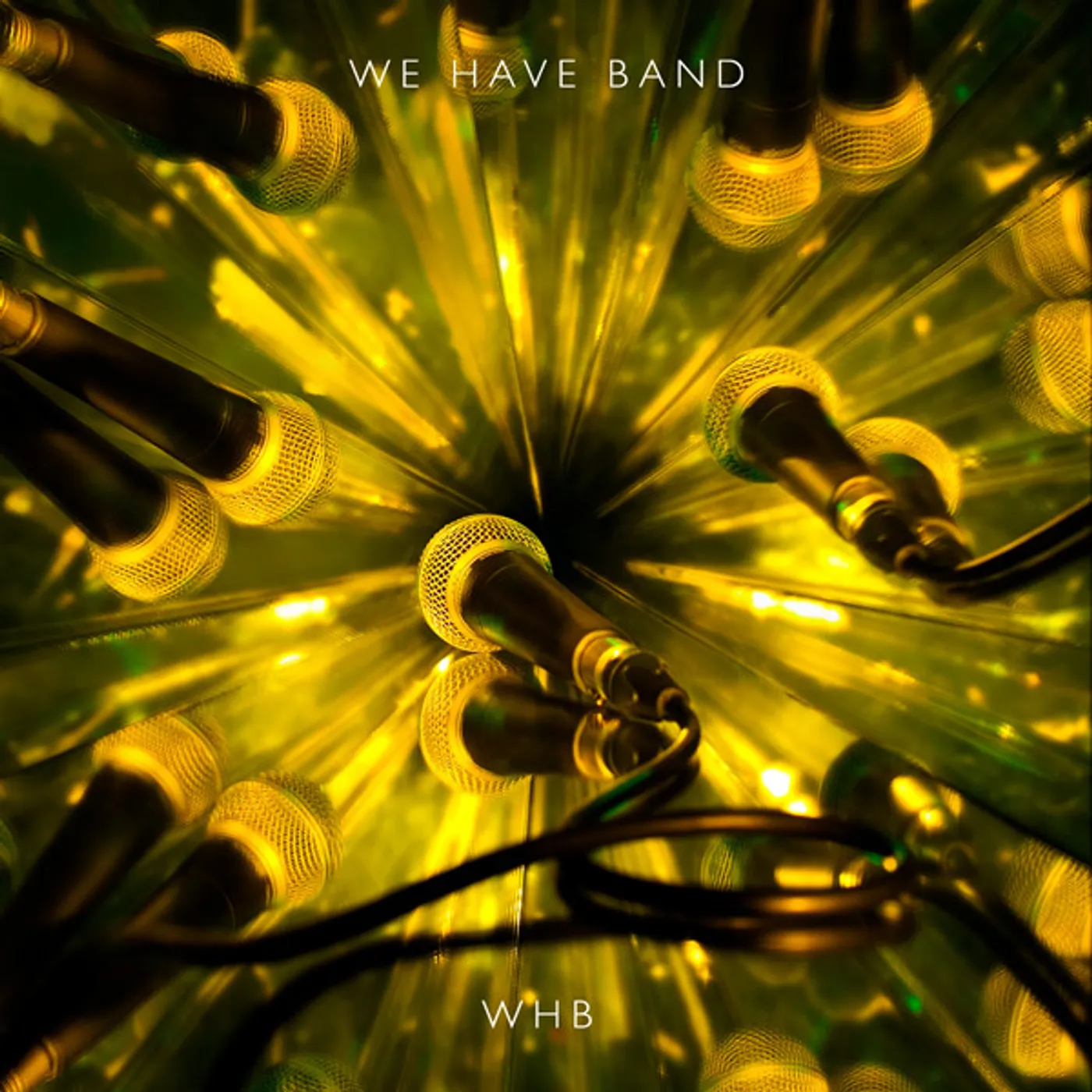 WE HAVE BAND: WHB Vinyl Record