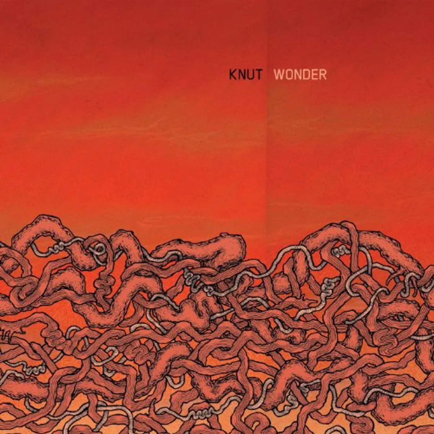Knut WONDER CD