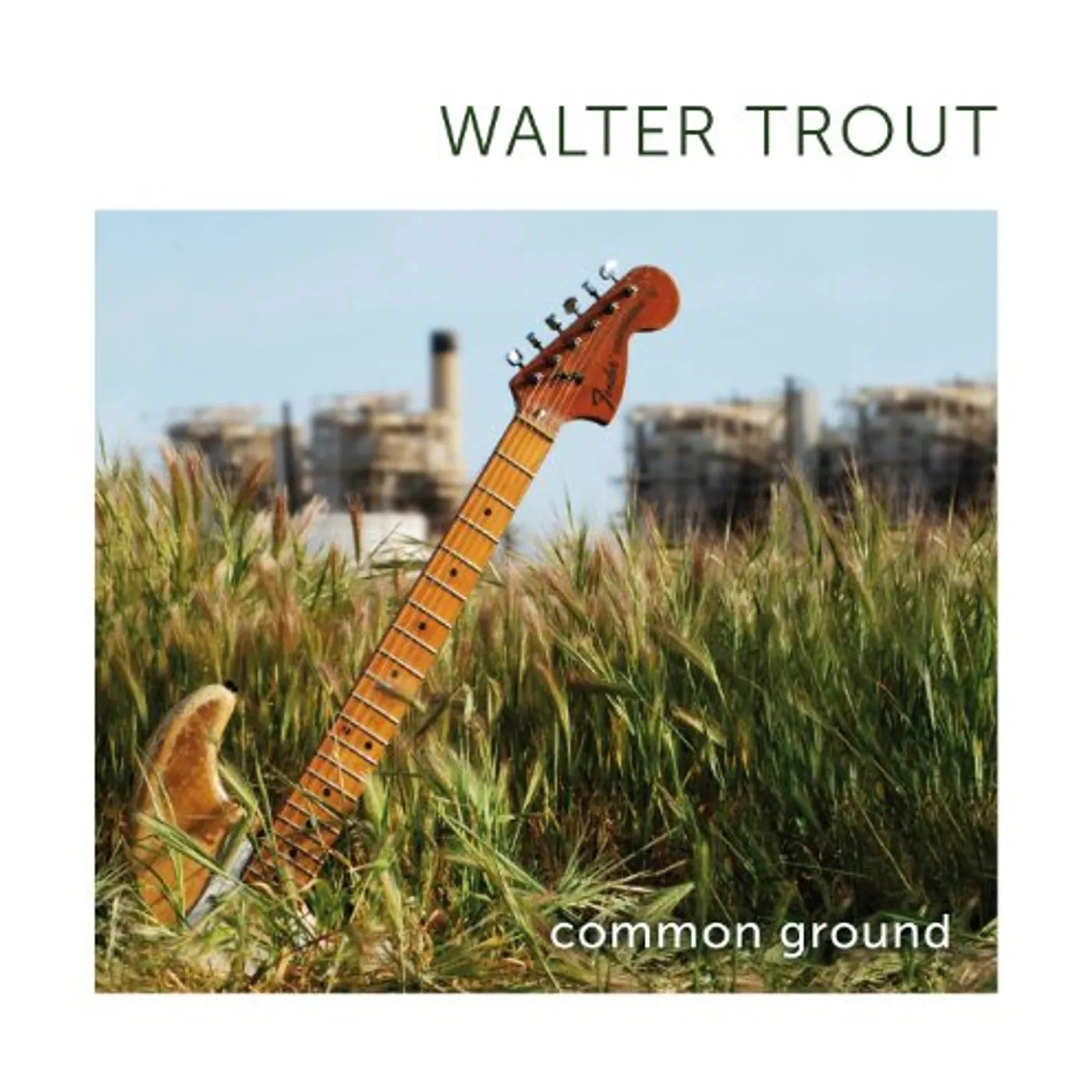 Walter Trout COMMON GROUND CD