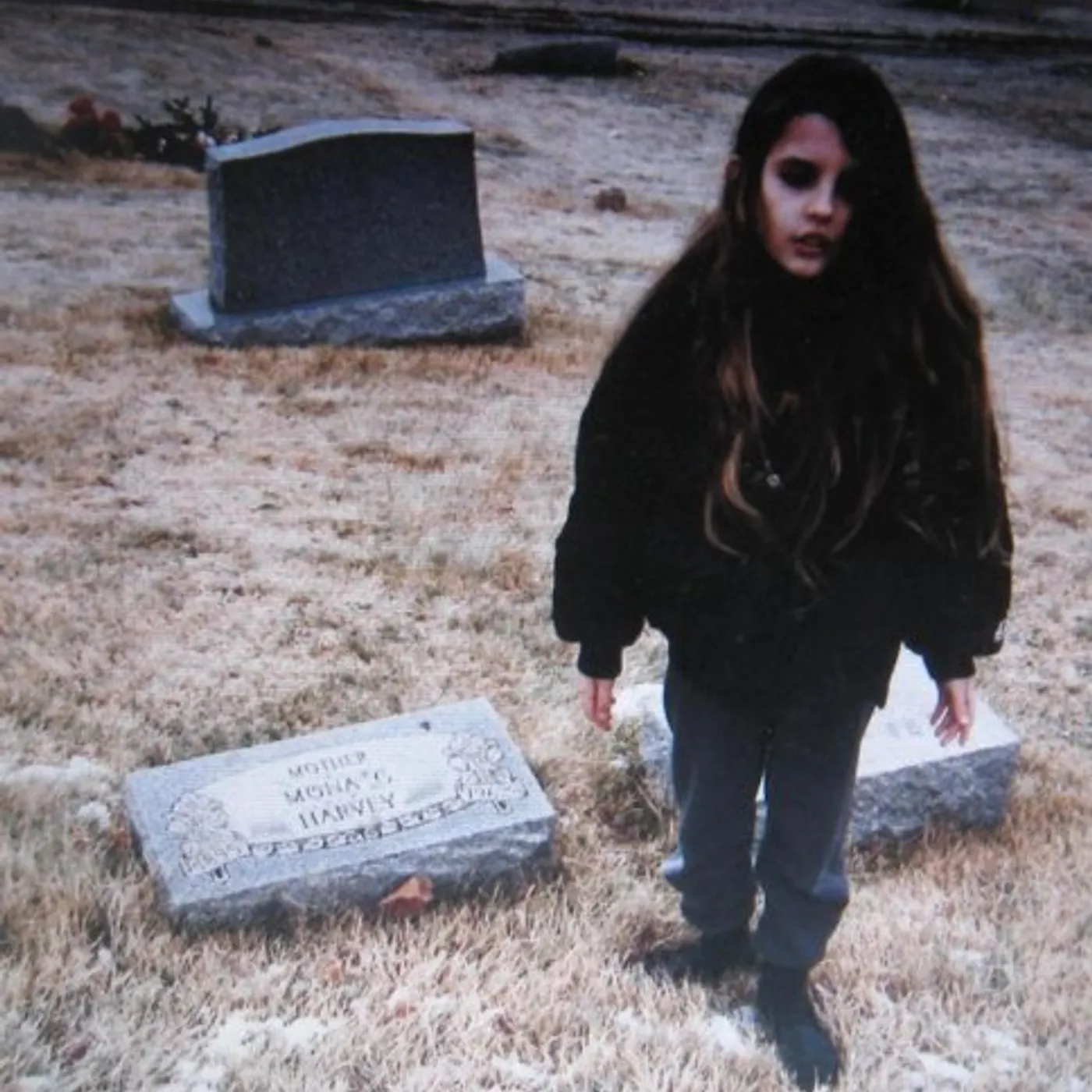 CRYSTAL CASTLES II Vinyl Record