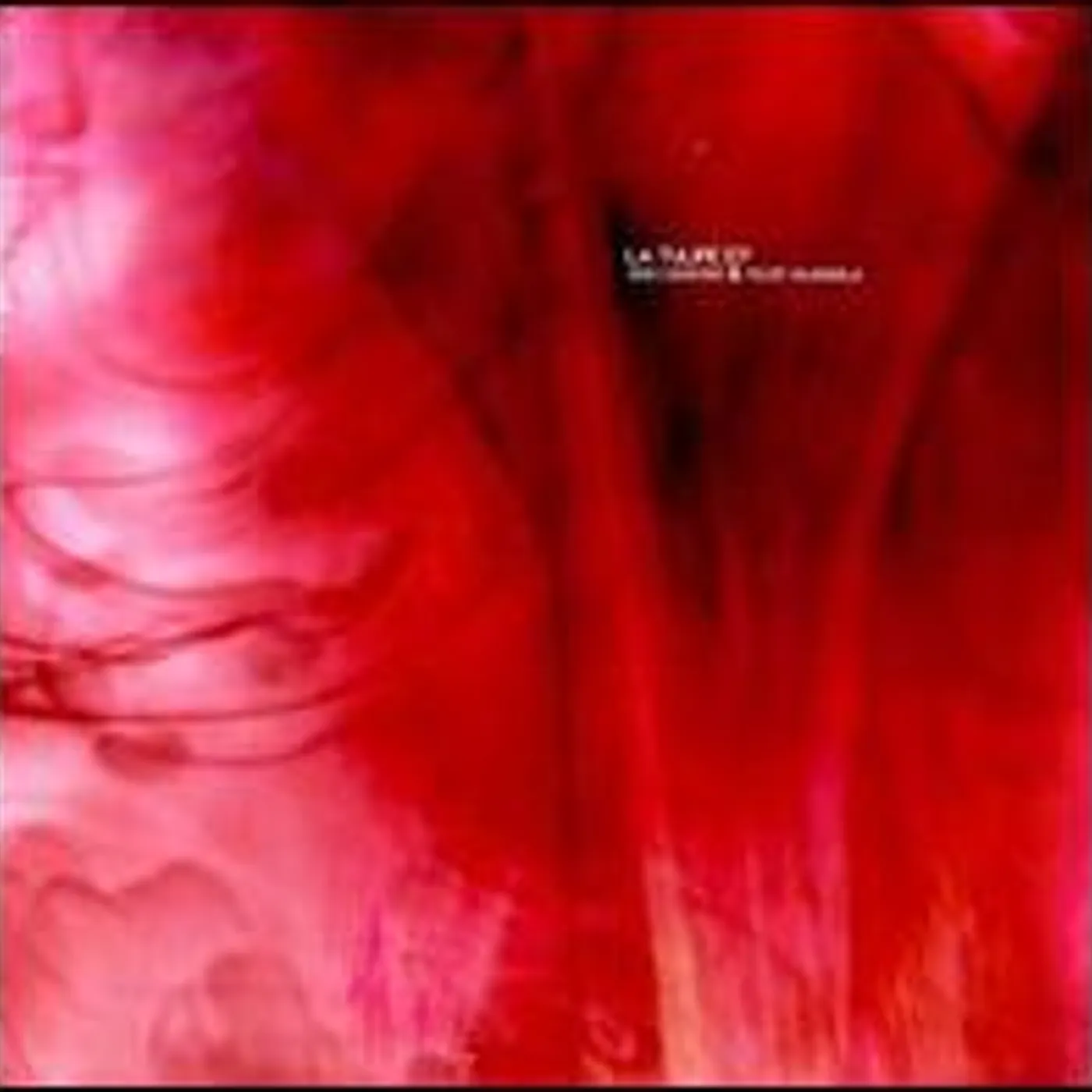 Dani Casarano & Felipe Valenzuela TULIPE Vinyl Record