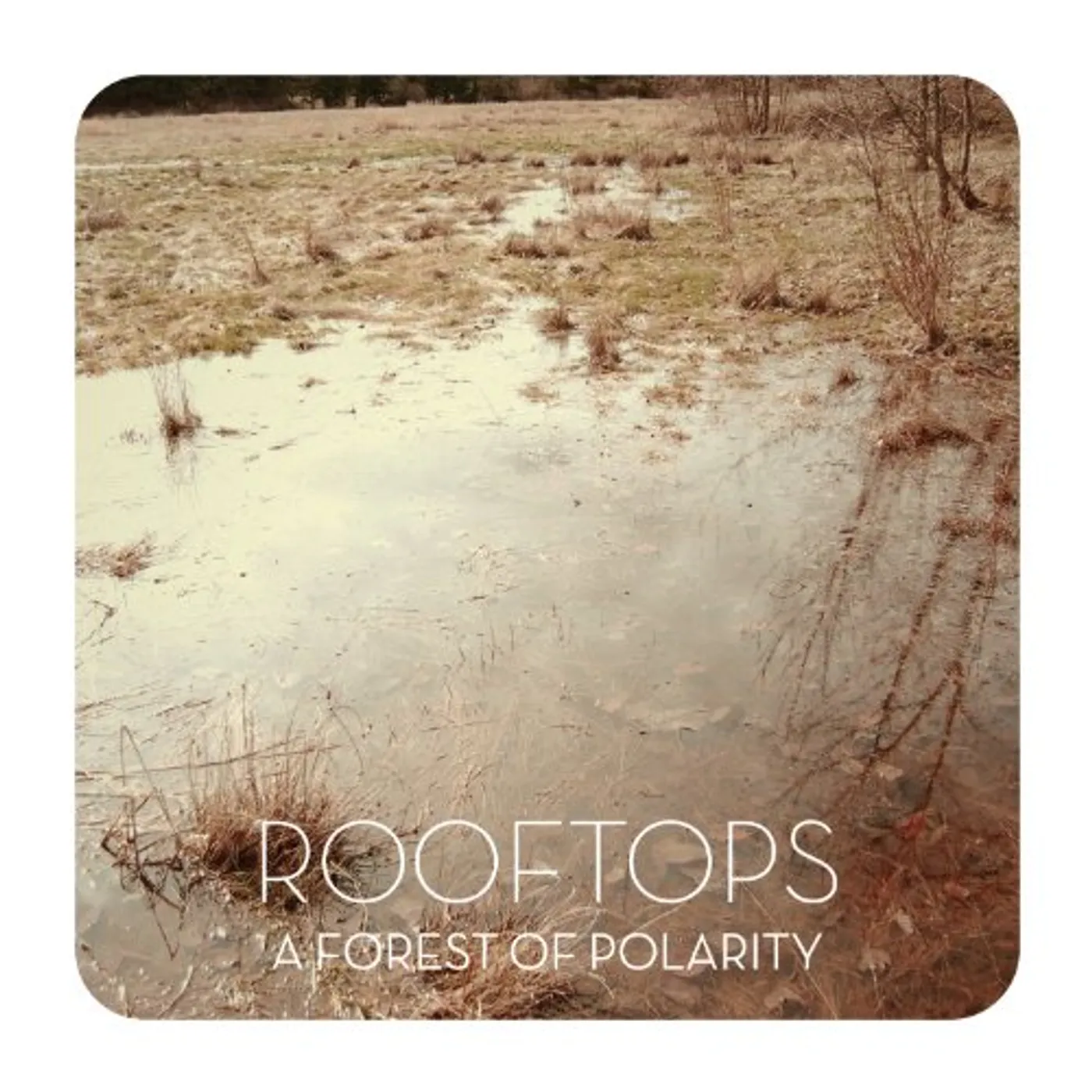 Rooftops A Forest Of Polaris Vinyl Record