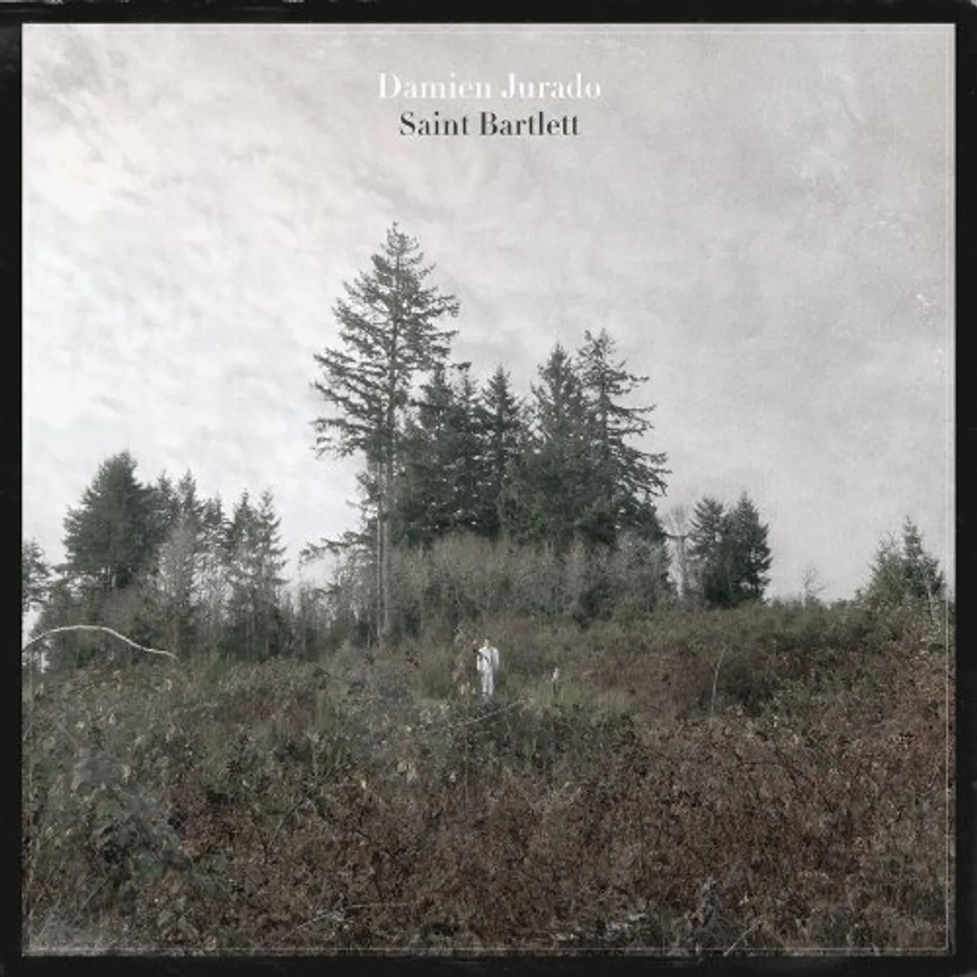 Damien Jurado SAINT BARTLETT CD