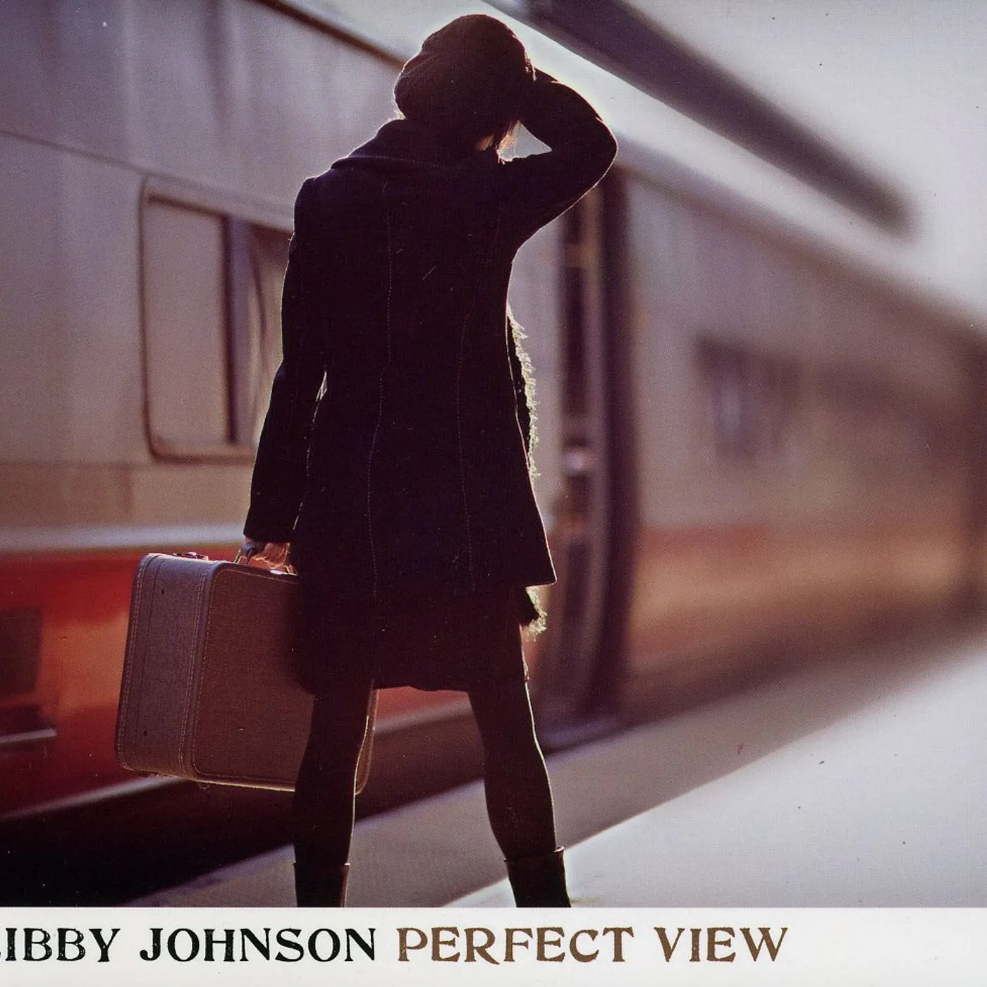 Libby Johnson PERFECT VIEW CD