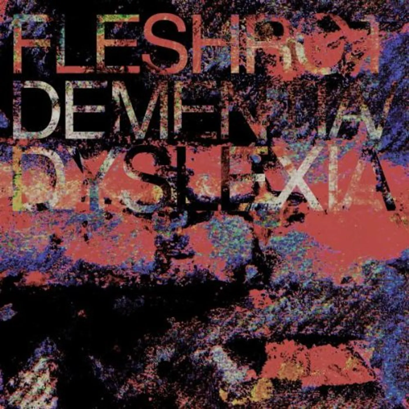 Fleshwrought DEMENTIA / DYSLEXIA CD