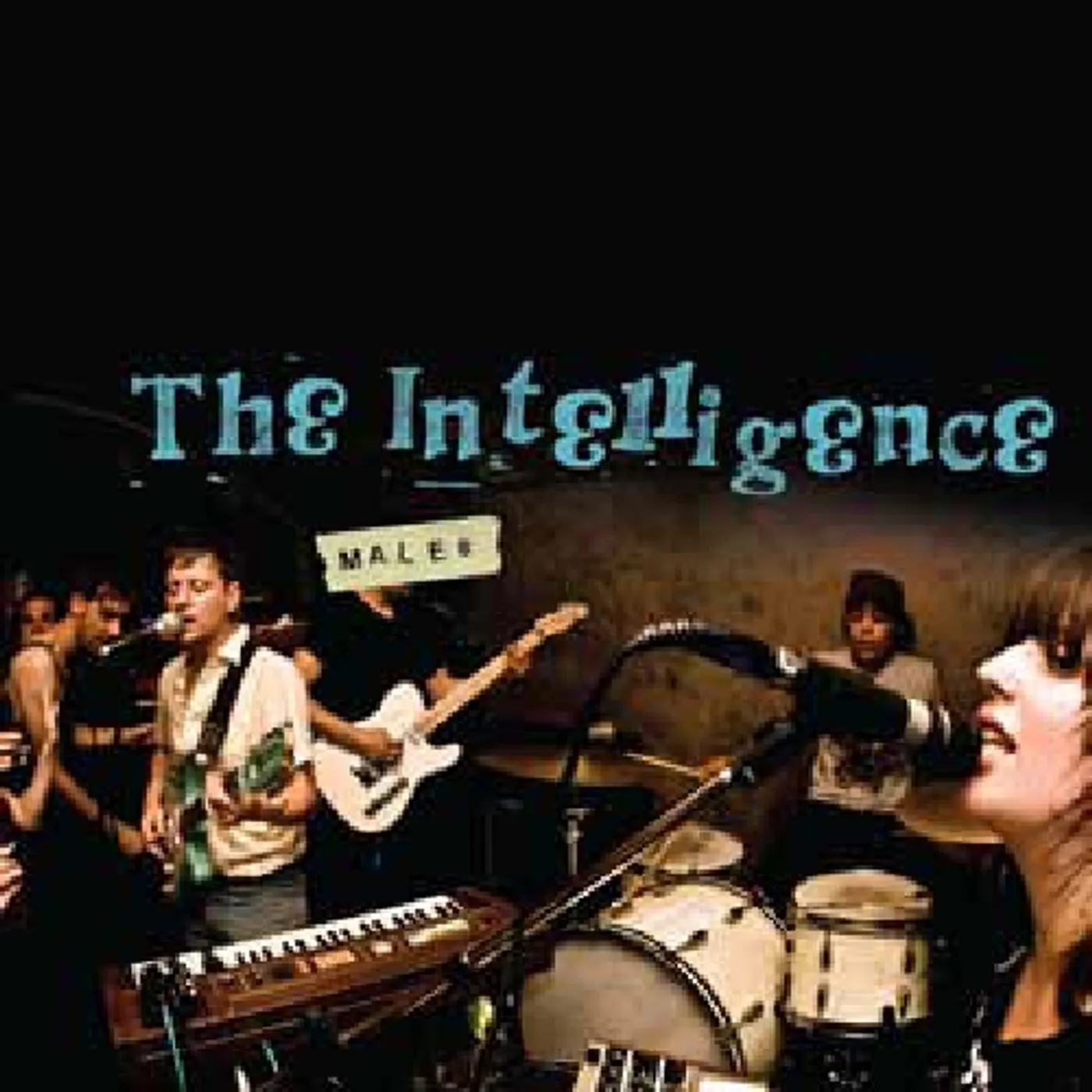 Intelligence MALES CD