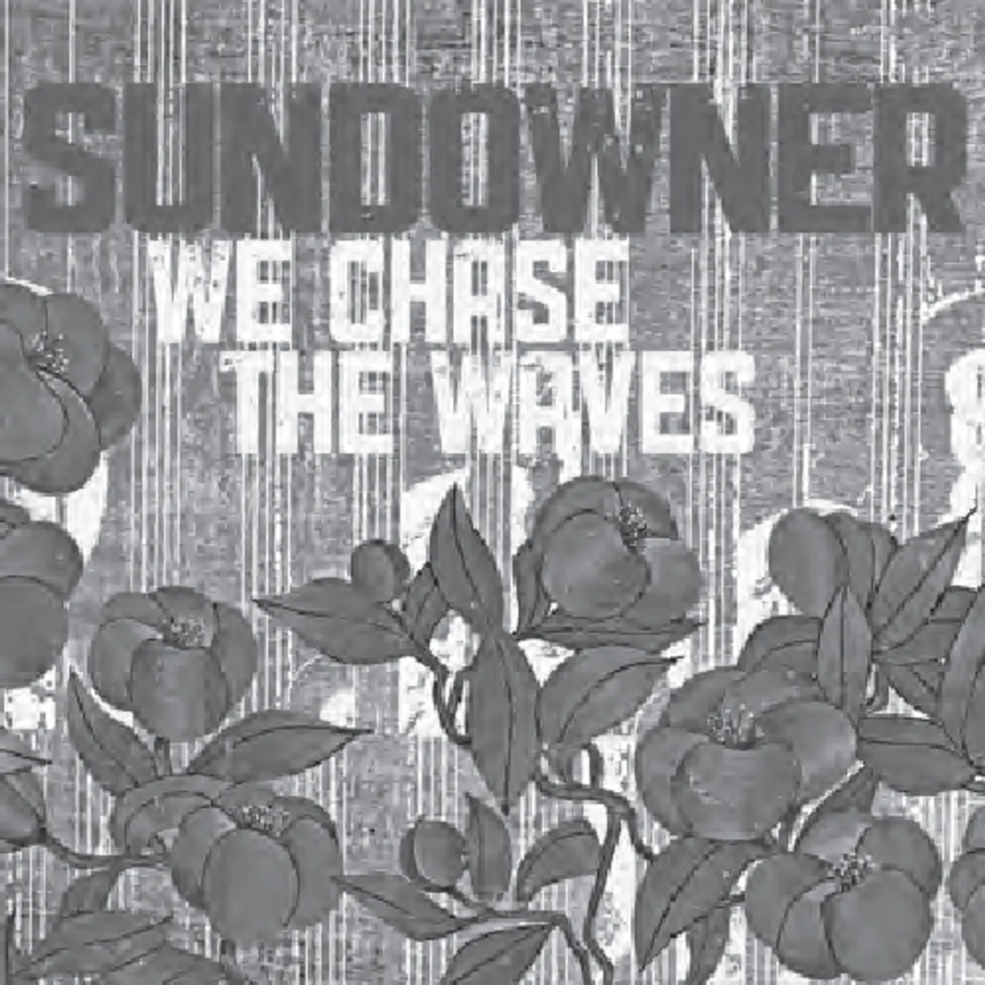 Sundowner We Chase the Waves Vinyl Record