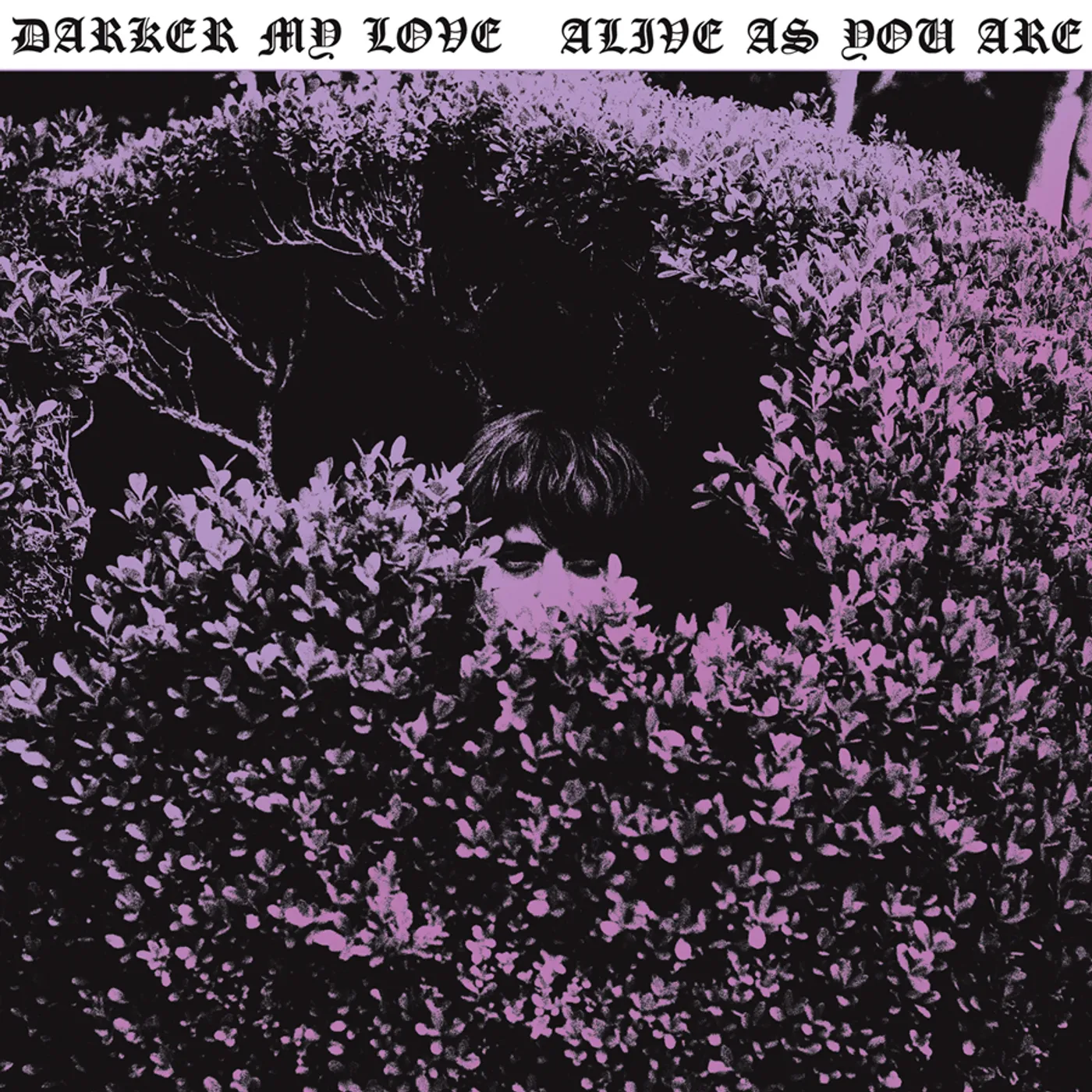 Darker My Love Alive as You Are Vinyl Record