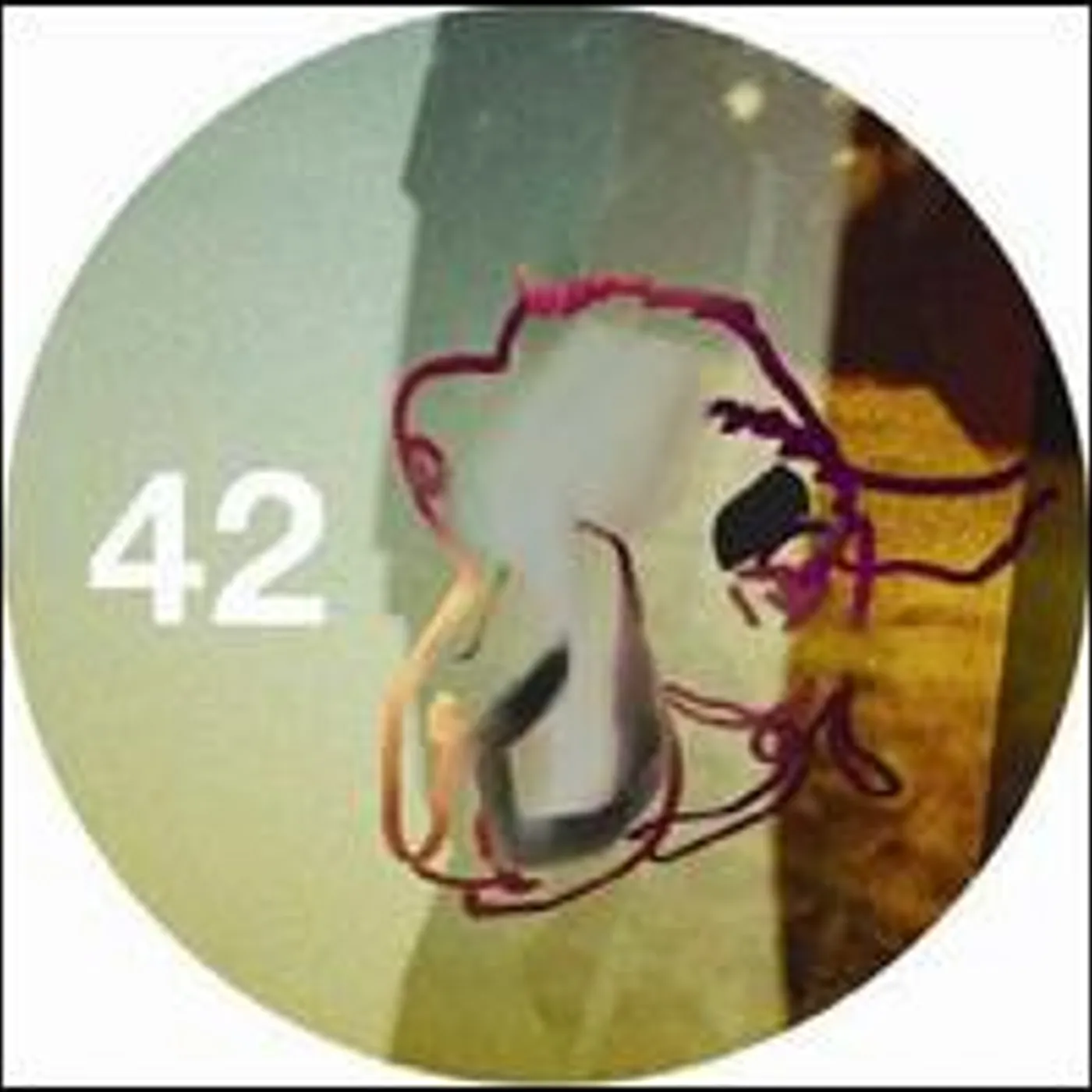 Andrea Fiorito Moderato Zoologico Vinyl Record