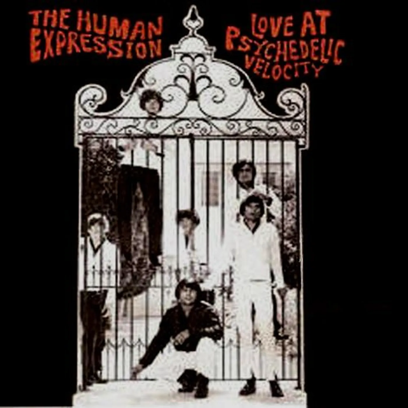 Human Expression LOVE AT PSYCHEDELIC VELOCITY CD