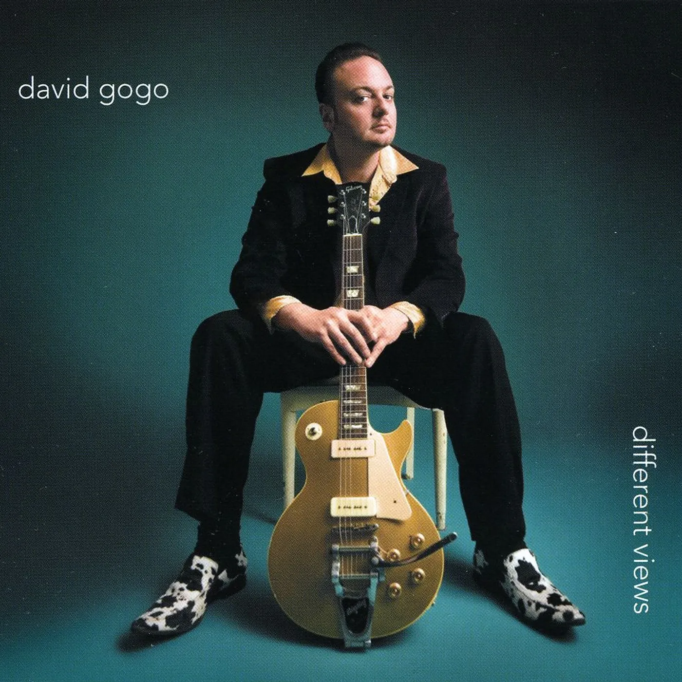 David Gogo DIFFERENT VIEWS CD