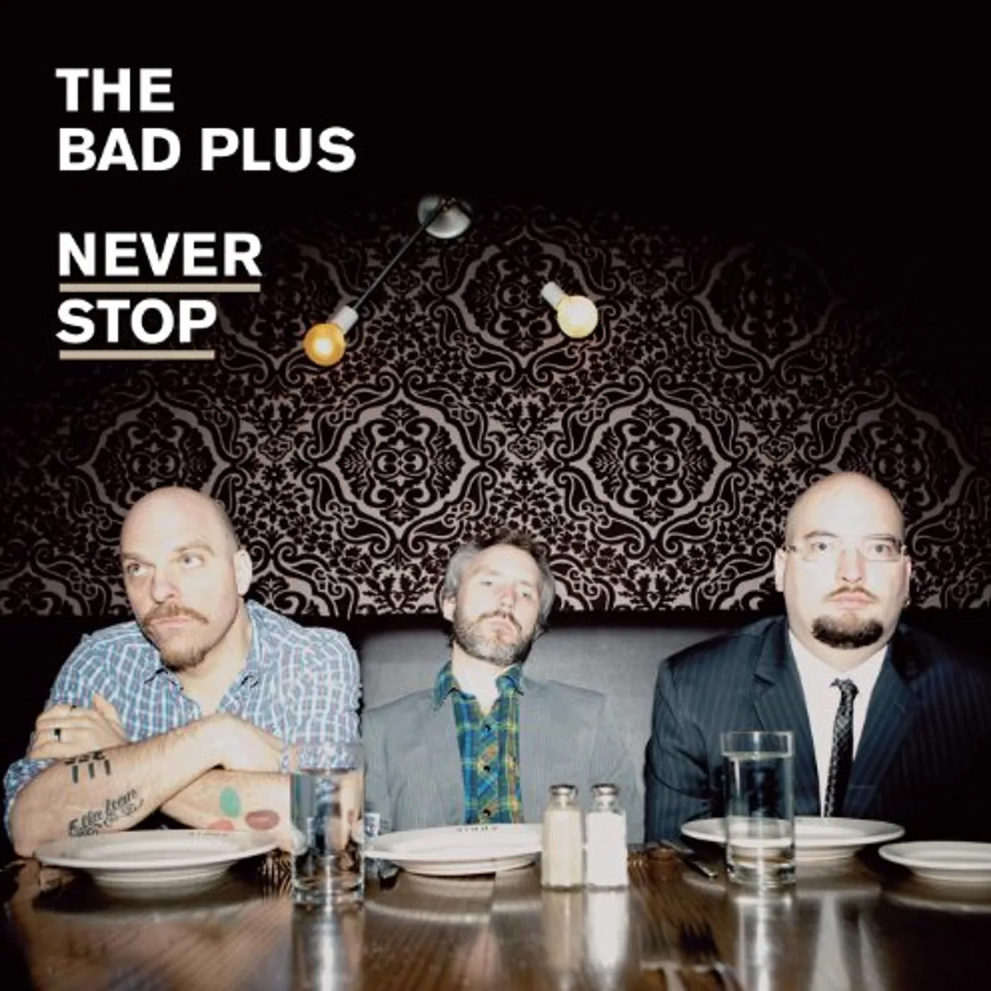The Bad Plus NEVER STOP CD