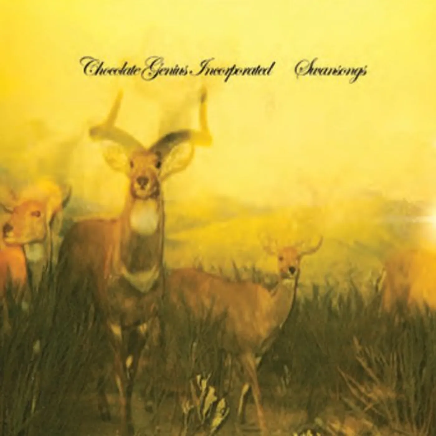 Chocolate Genius Incorporated SWANSONGS CD