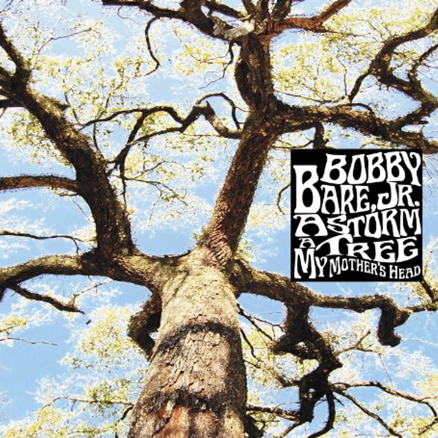 Bobby Bare Jr. STORM A TREE MY MOTHER'S HEAD CD