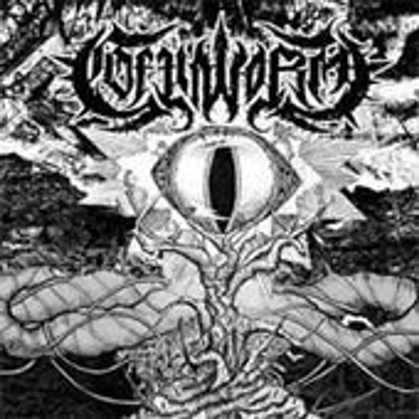 Coffinworm When All Became None Vinyl Record