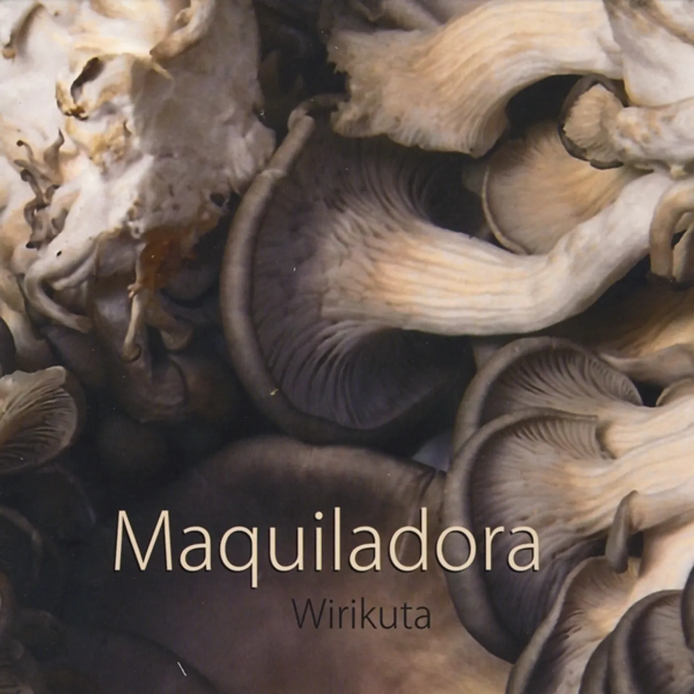 Maquiladora WIRIKUTA CD