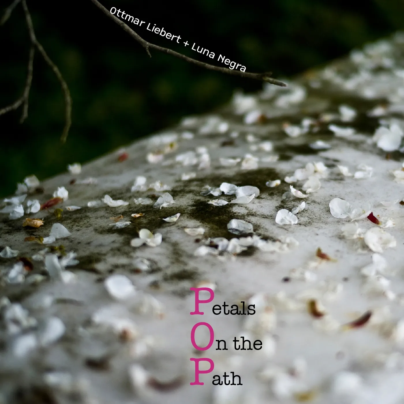 Ottmar Liebert PETALS ON THE PATH CD