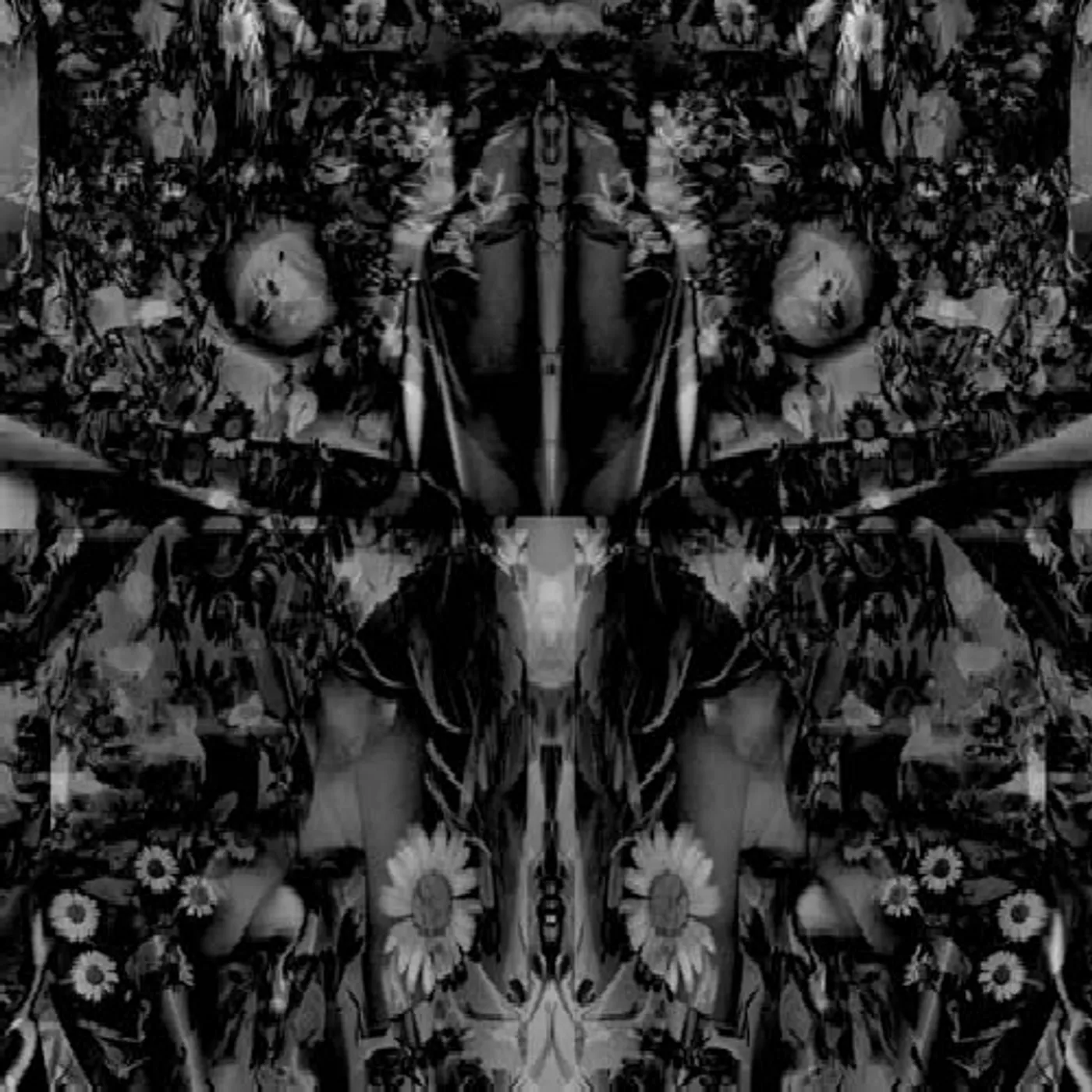 Aidan Baker SONGS OF FLOWERS & SKIN CD