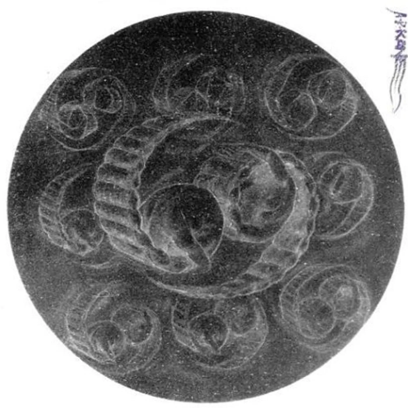 A.R. Kane 69 CD