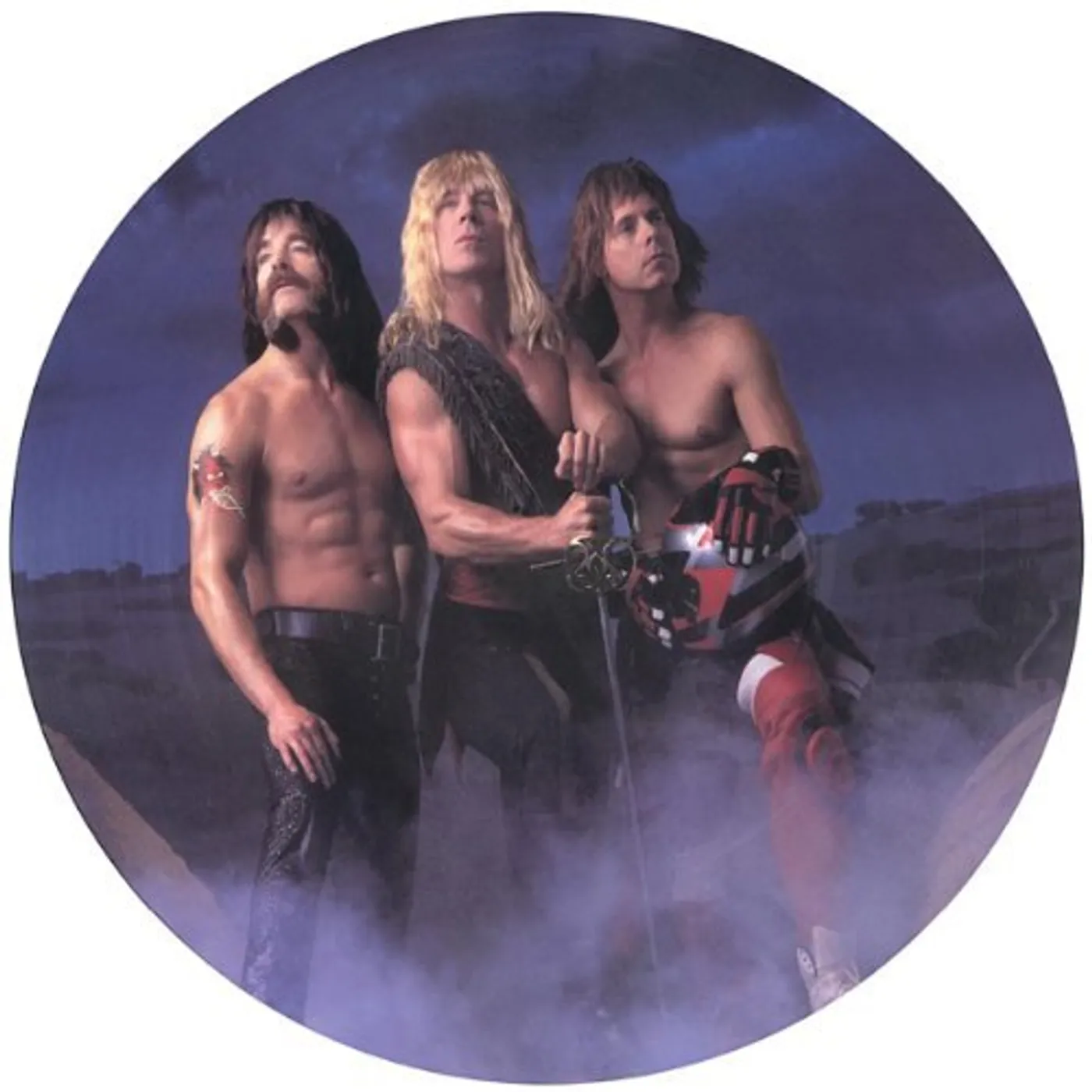 Spinal Tap BREAK LIKE THE WIND (PICTURE DISC) (PICT) (Vinyl)