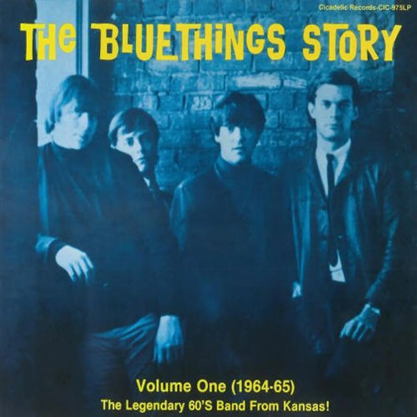 The Blue Things STORY 1 Vinyl Record