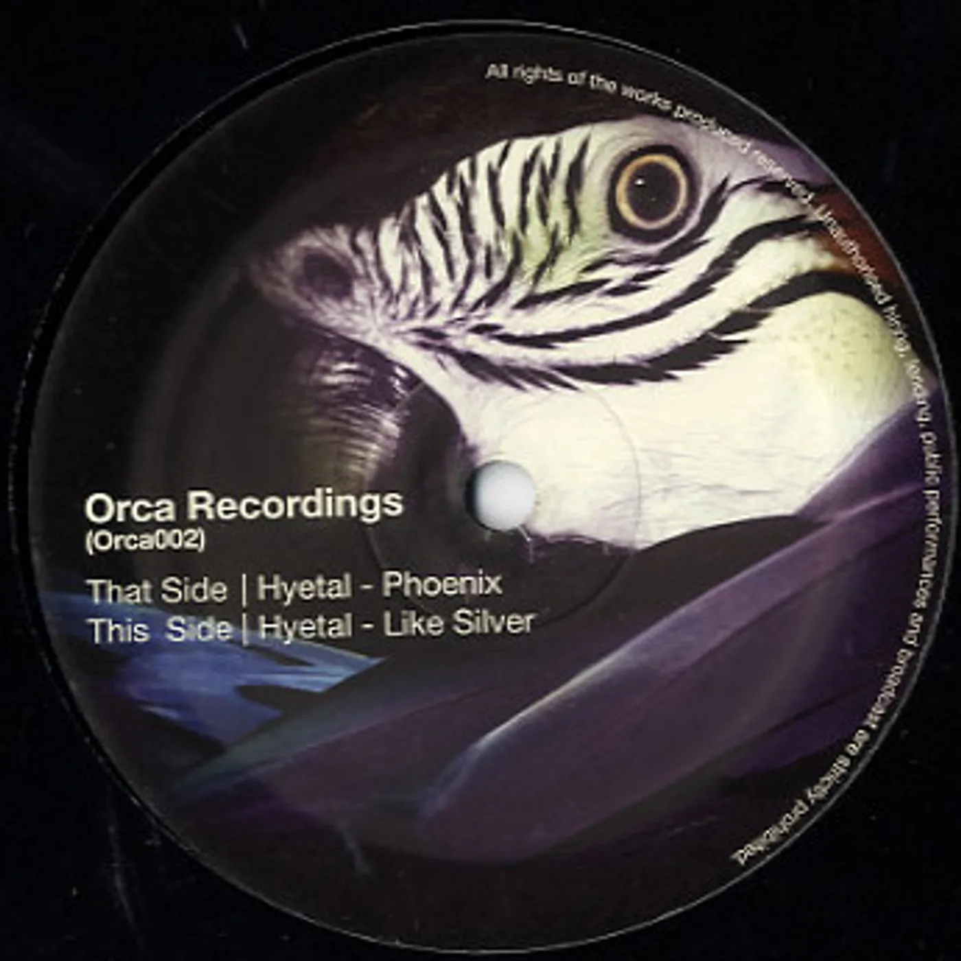 Hyetal PHOENIX & LIKE SILVER Vinyl Record