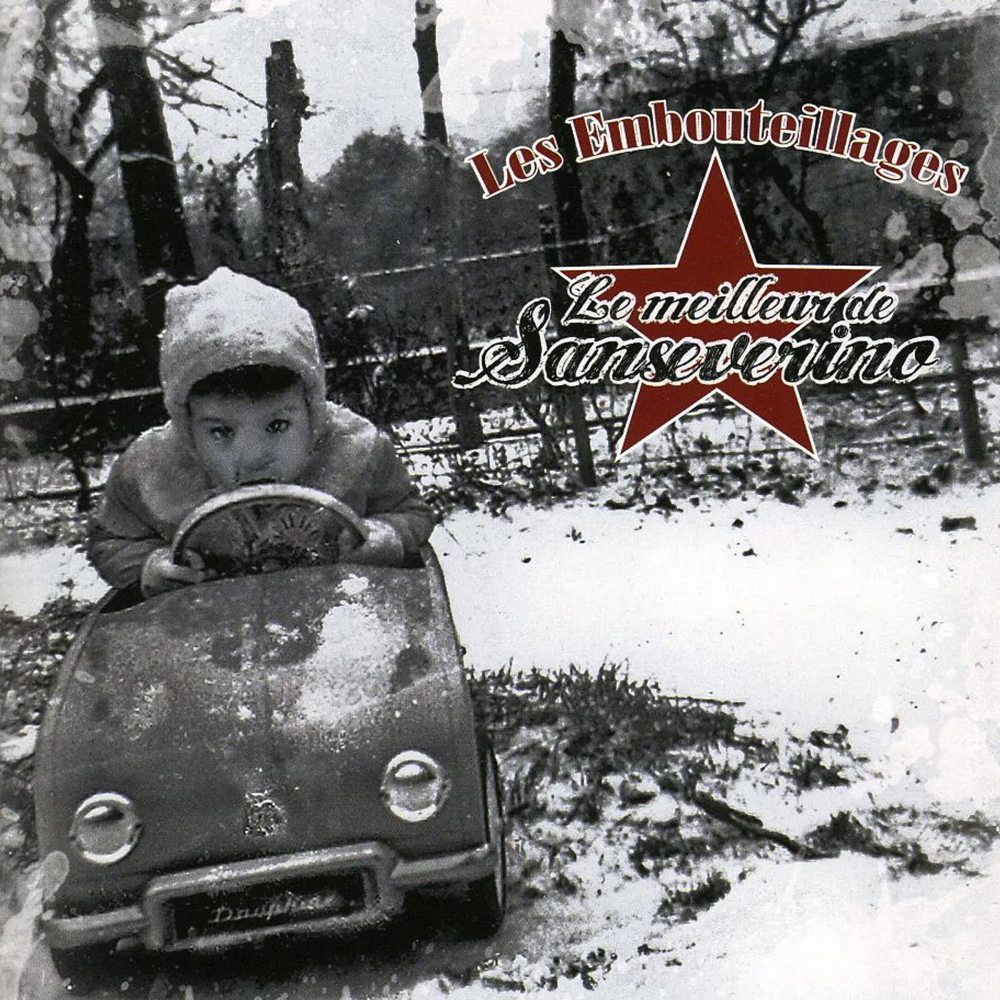 LE MEILLEUR DE SANSEVERINO CD
