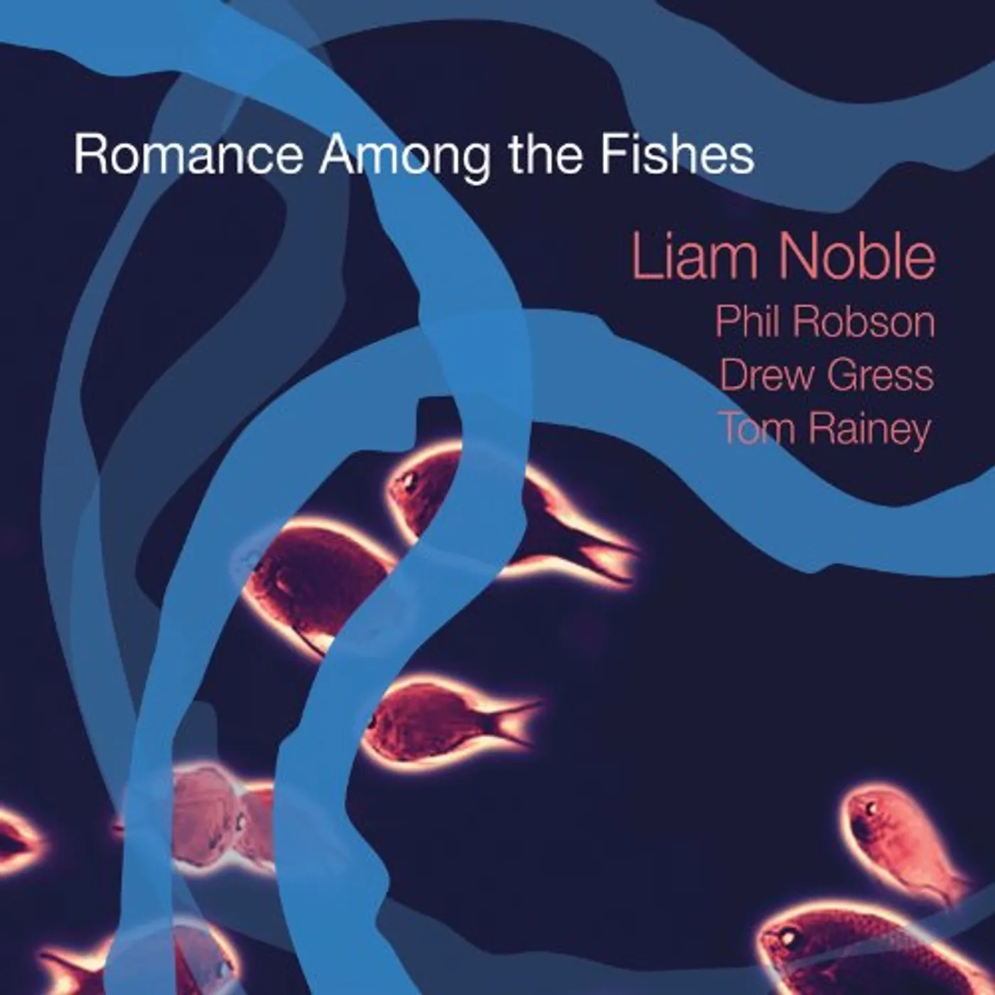 Liam Noble ROMANCE AMONG THE FISHES CD