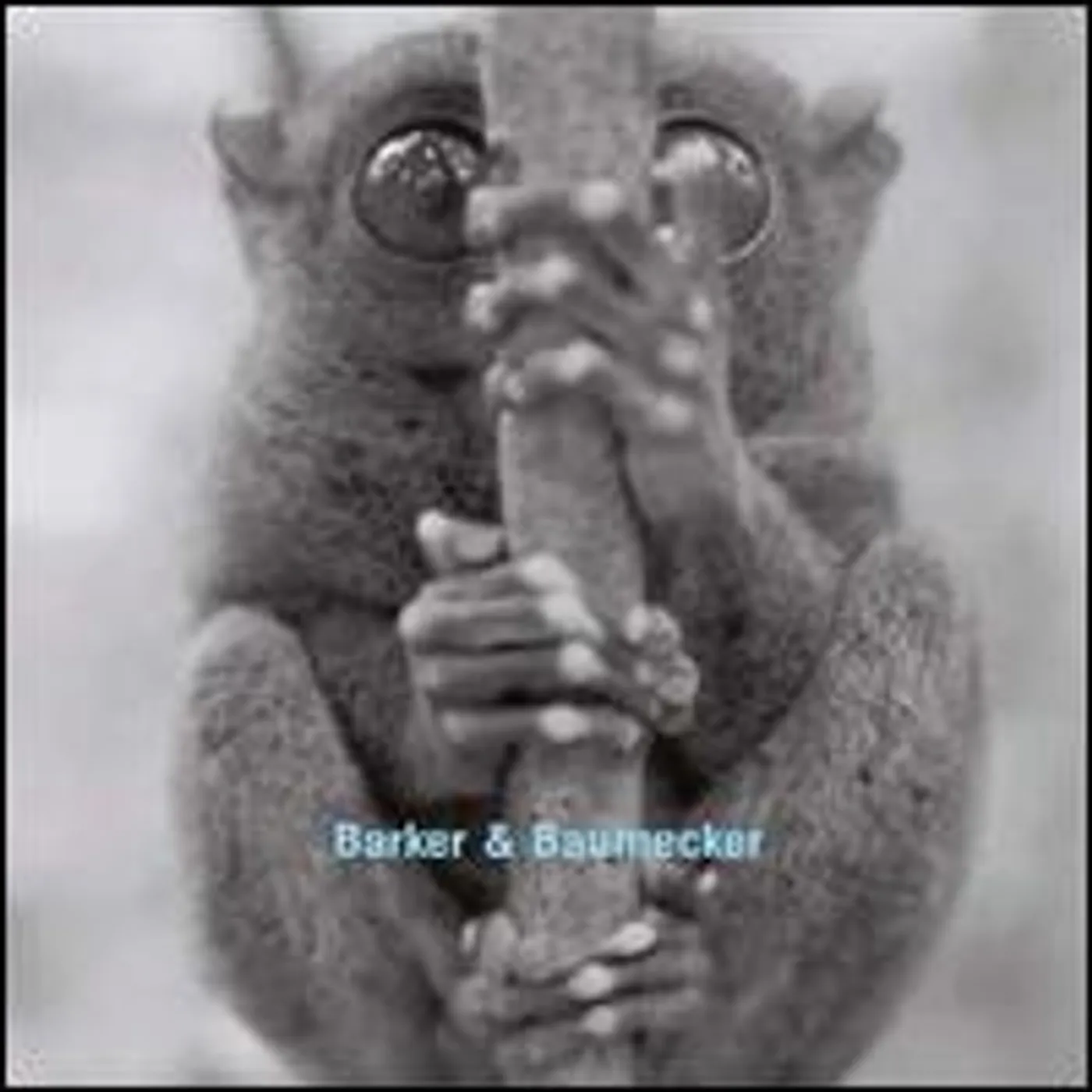 Barker & Baumecker Candyflip Vinyl Record