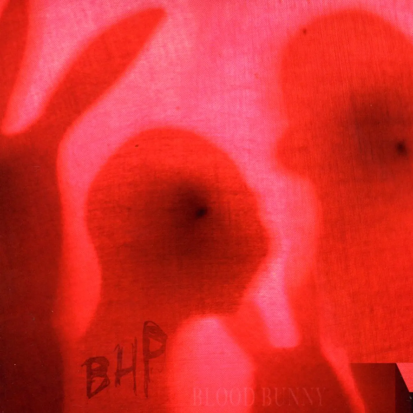 The Black Heart Procession BLOOD BUNNY / BLACK RABBIT CD