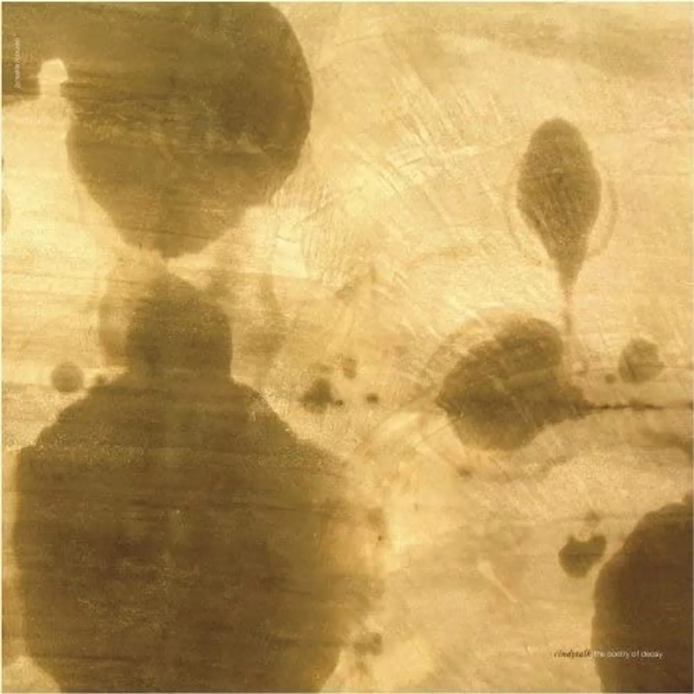 Cindytalk POETRY OF DECAY Vinyl Record