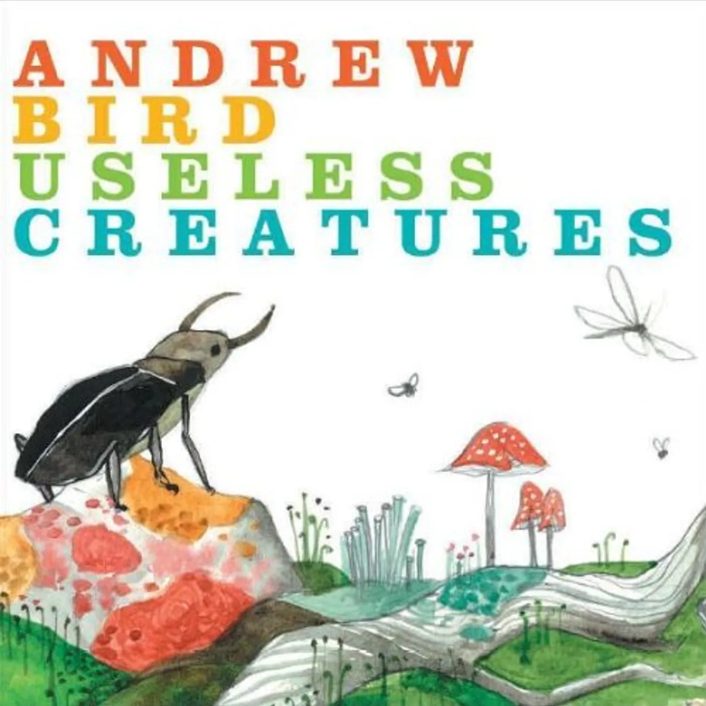 Andrew Bird USELESS CREATURES CD