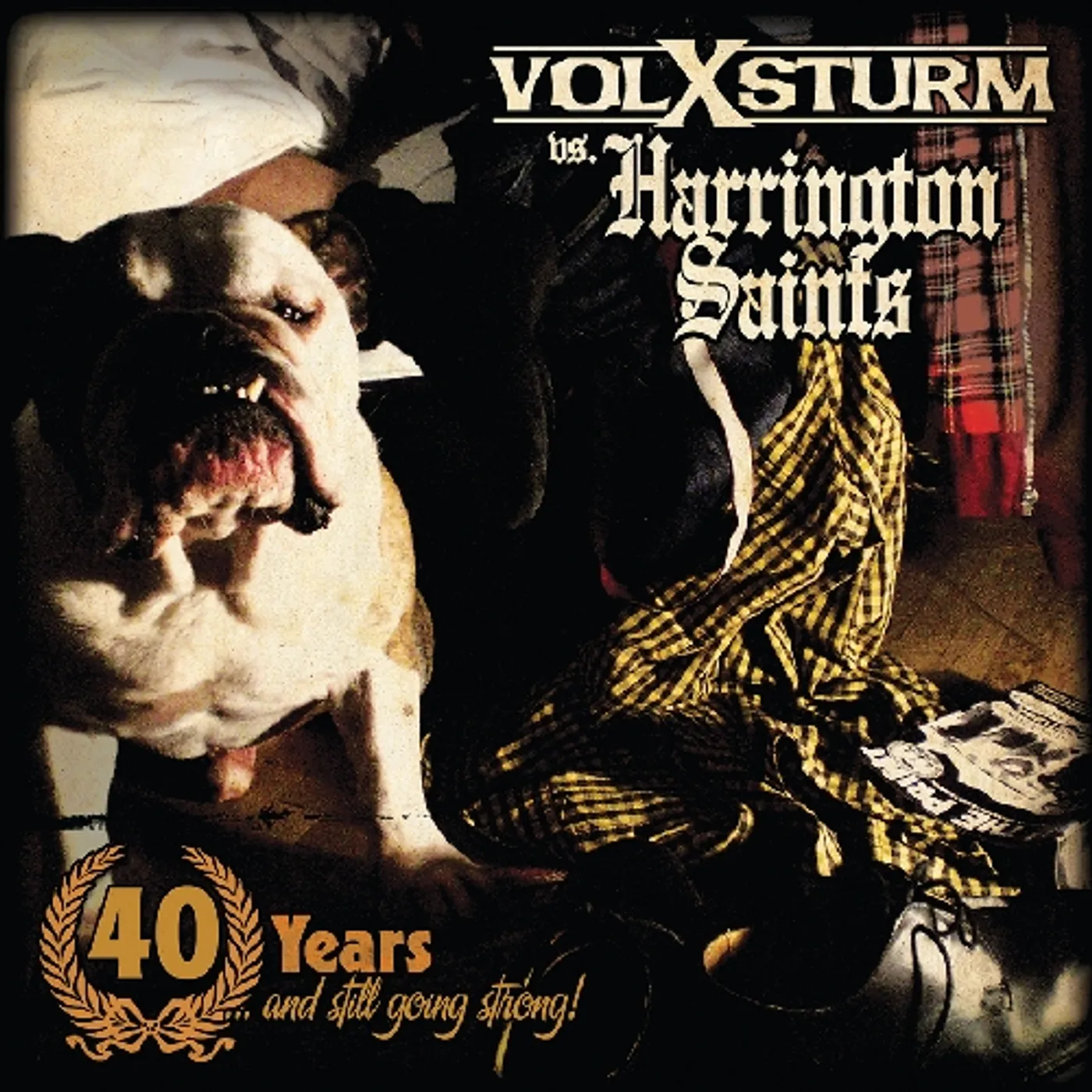 Harrington Saints 40 YEARS & STILL GOING STRONG Vinyl Record