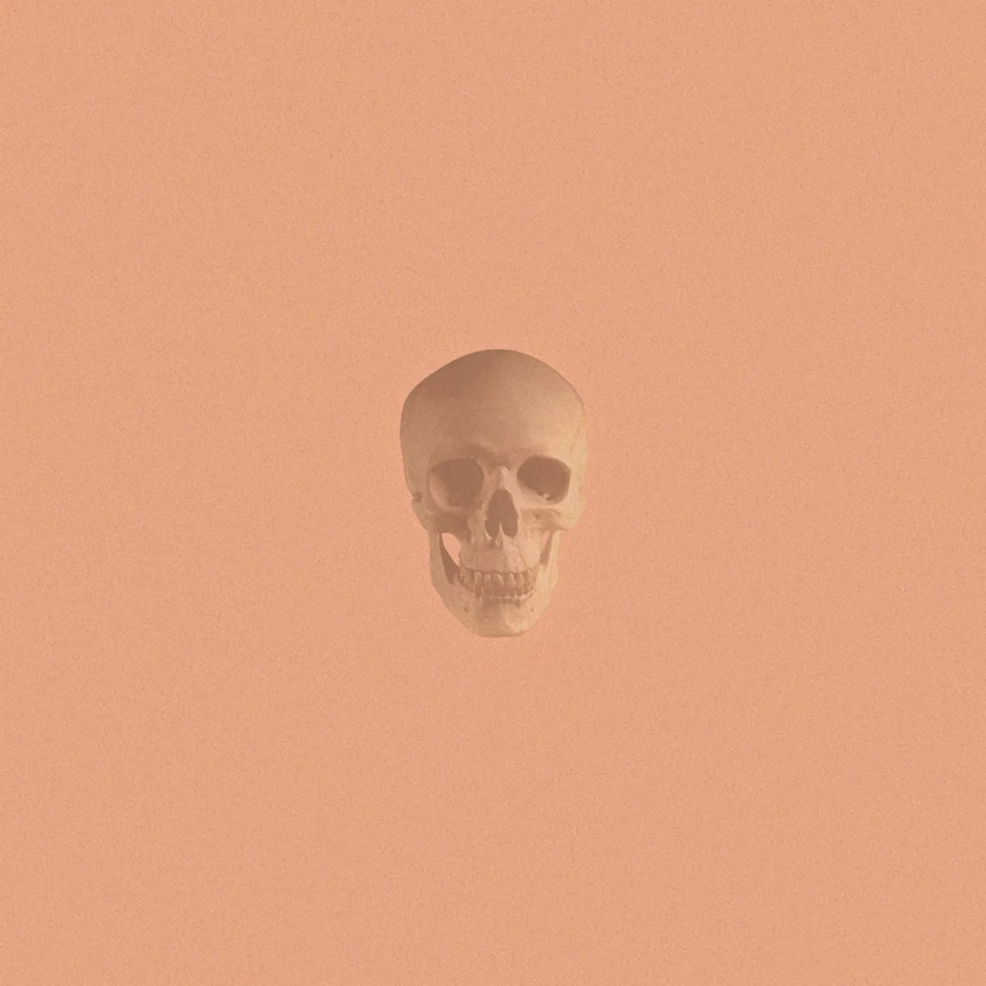 Pomegranates ONE OF US CD
