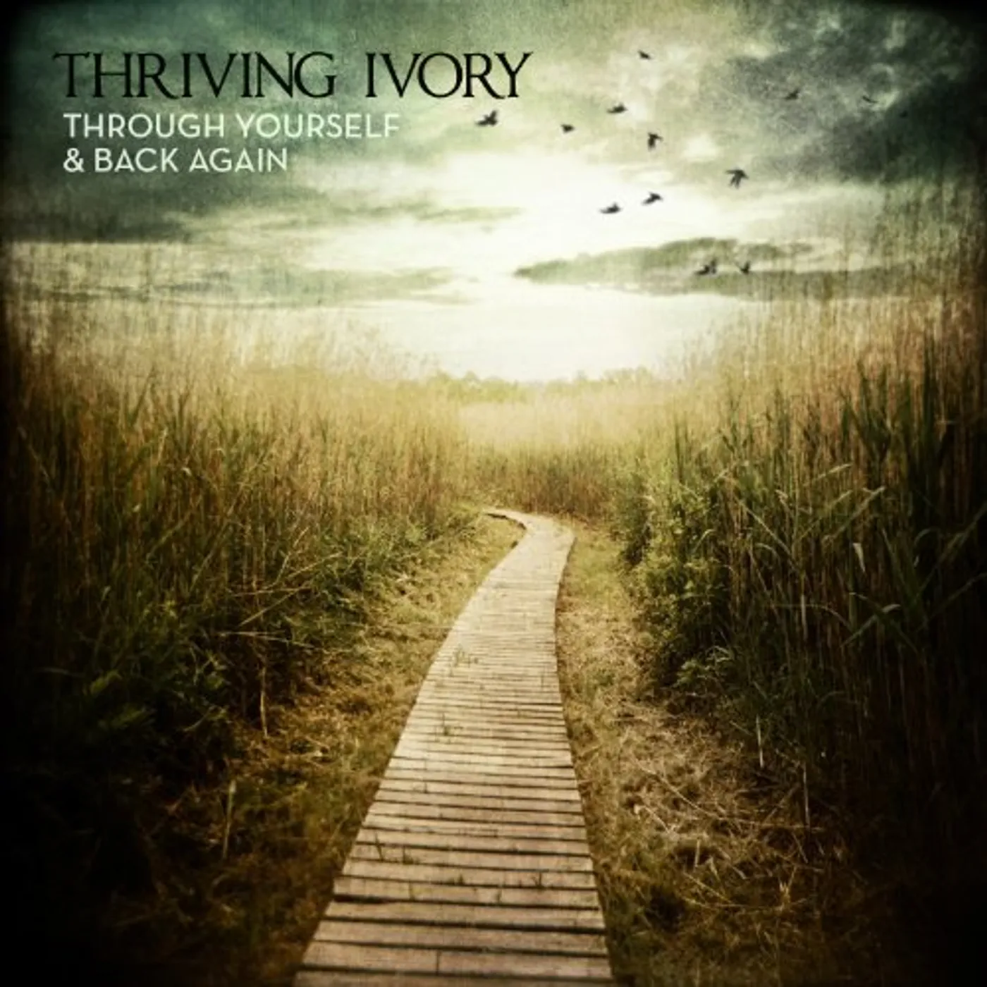 Thriving Ivory THROUGH YOURSELF & BACK AGAIN CD