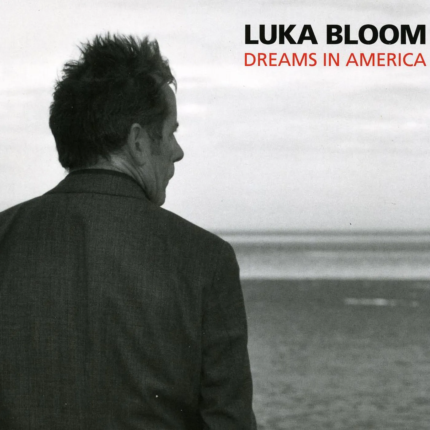 Luka Bloom DREAMS IN AMERICA CD