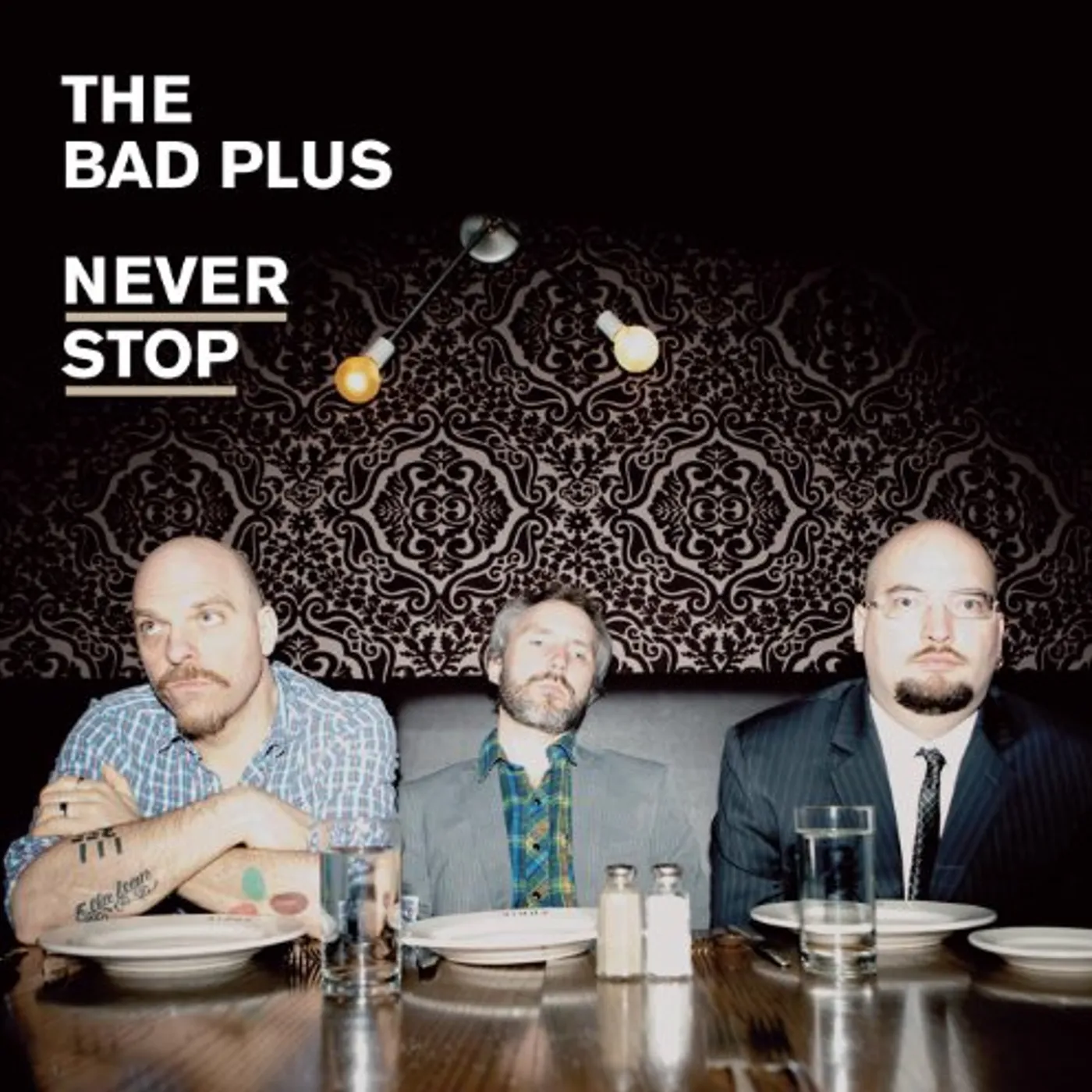The Bad Plus Never Stop Vinyl Record