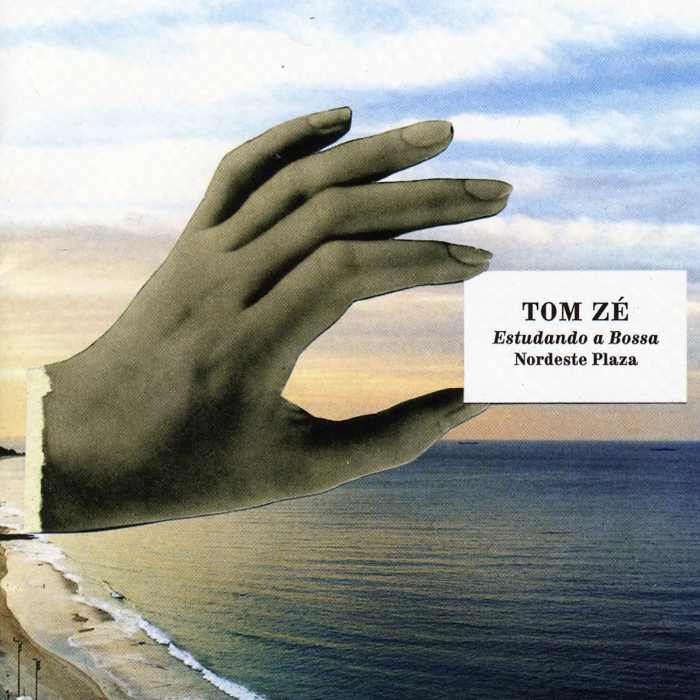 Tom Zé ESTUDANDO A BOSSA (NORDESTE PLAZA) CD