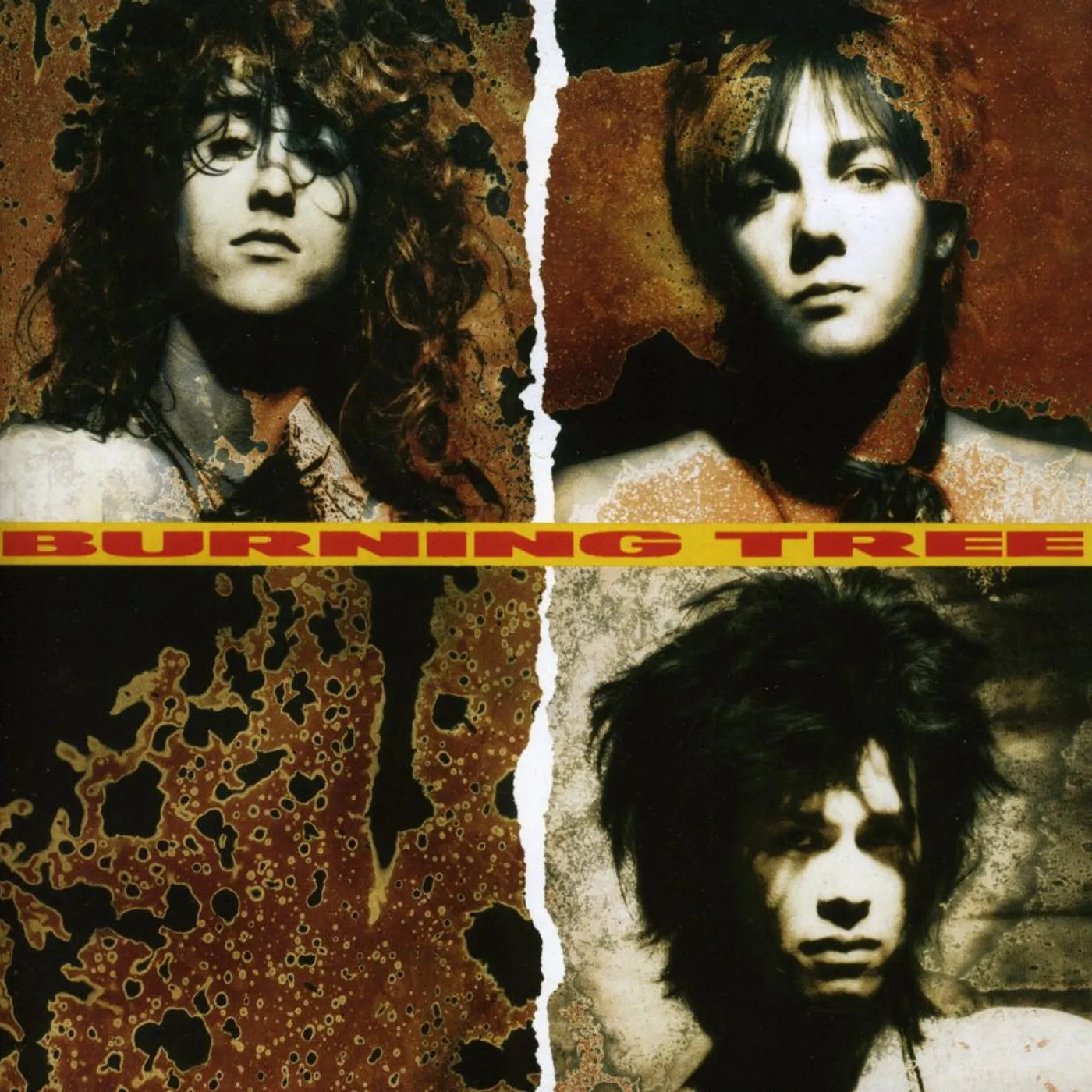 BURNING TREE CD