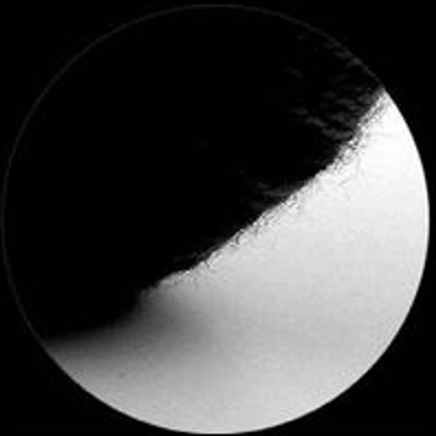 Frank Martiniq Nights In Black Satin Vinyl Record