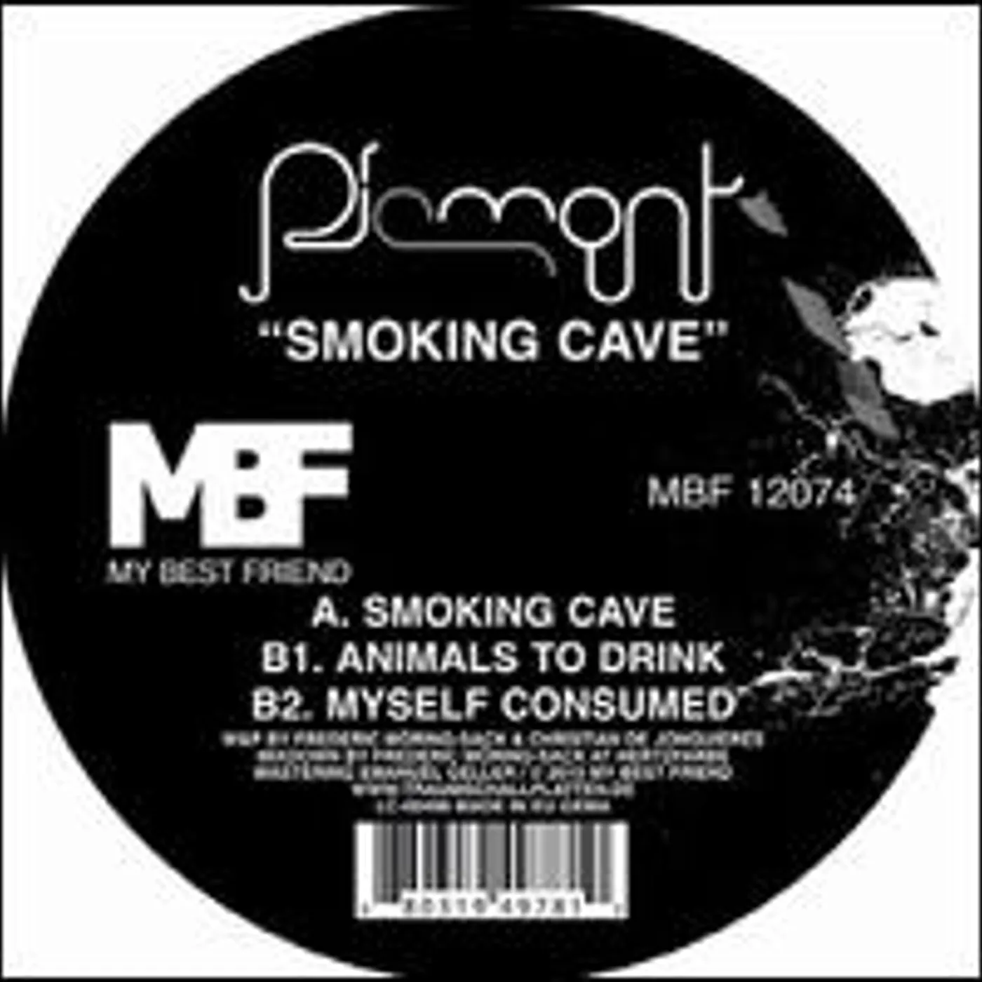 Piemont Smoking Cave Vinyl Record