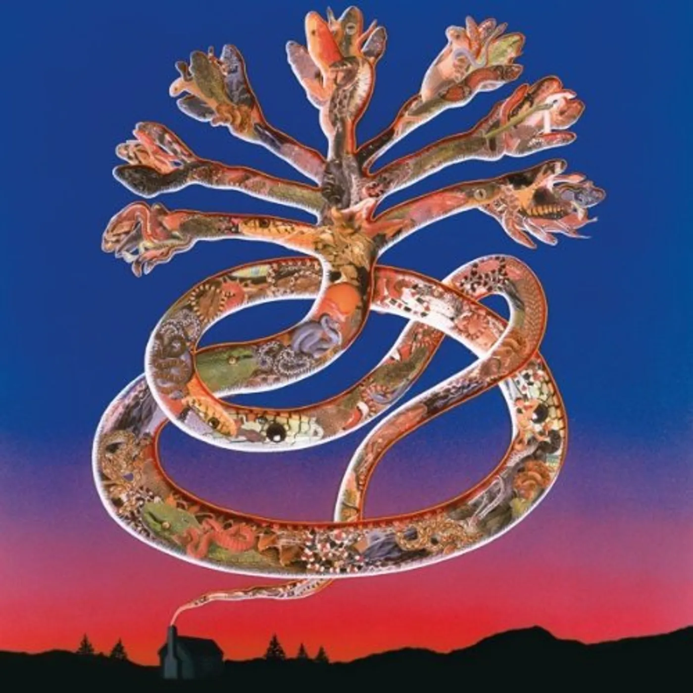 Cyclobe Wounded Galaxies Tap At The Window Vinyl Record