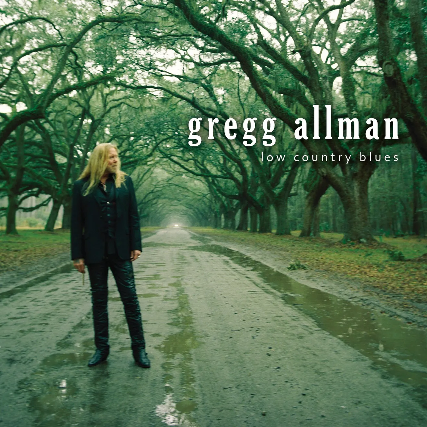 Gregg Allman Low Country Blues Vinyl Record