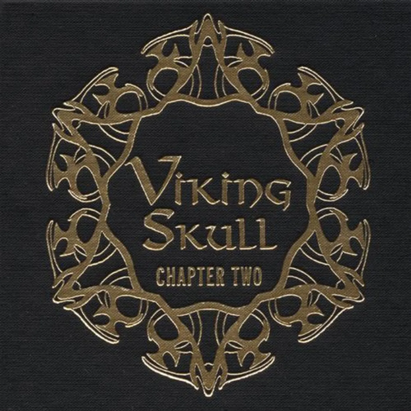 Viking Skull Chapter Two Vinyl Record