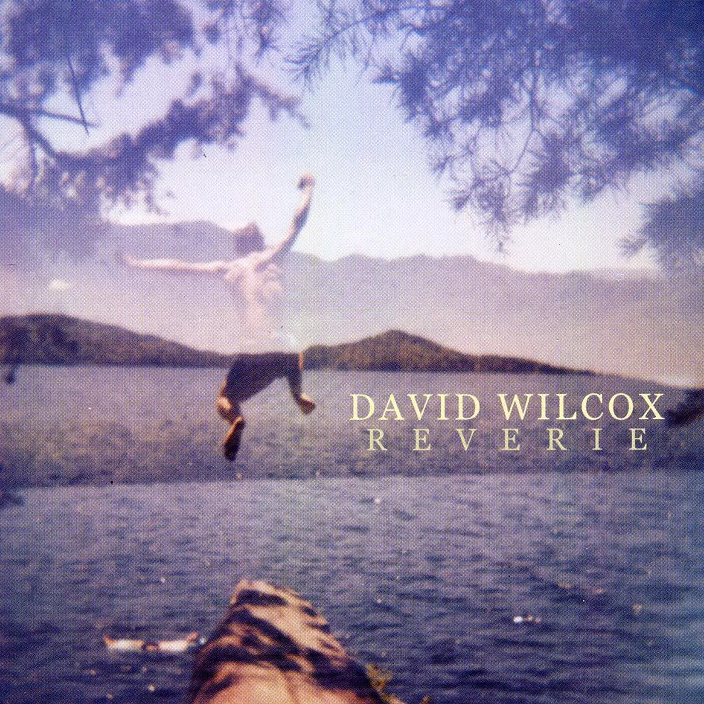 David Wilcox REVERIE CD