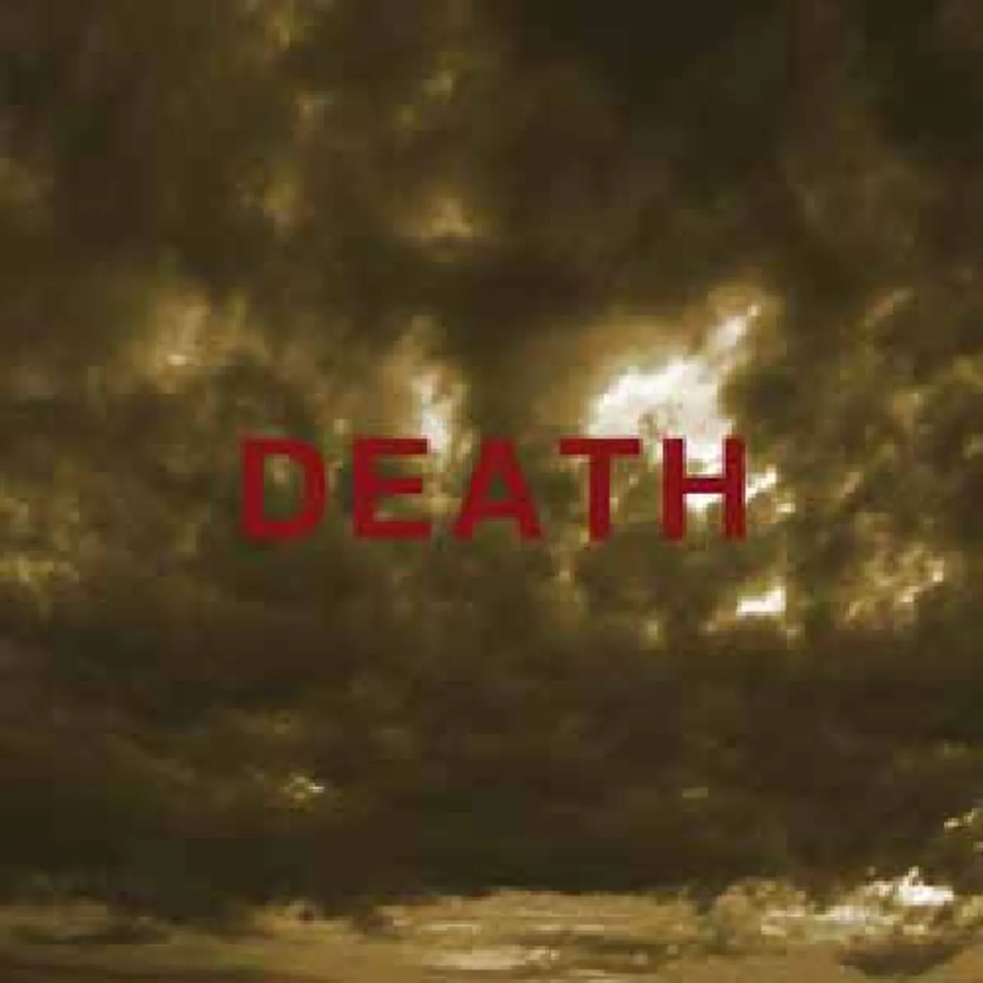 Wooden Wand Death Seat Vinyl Record